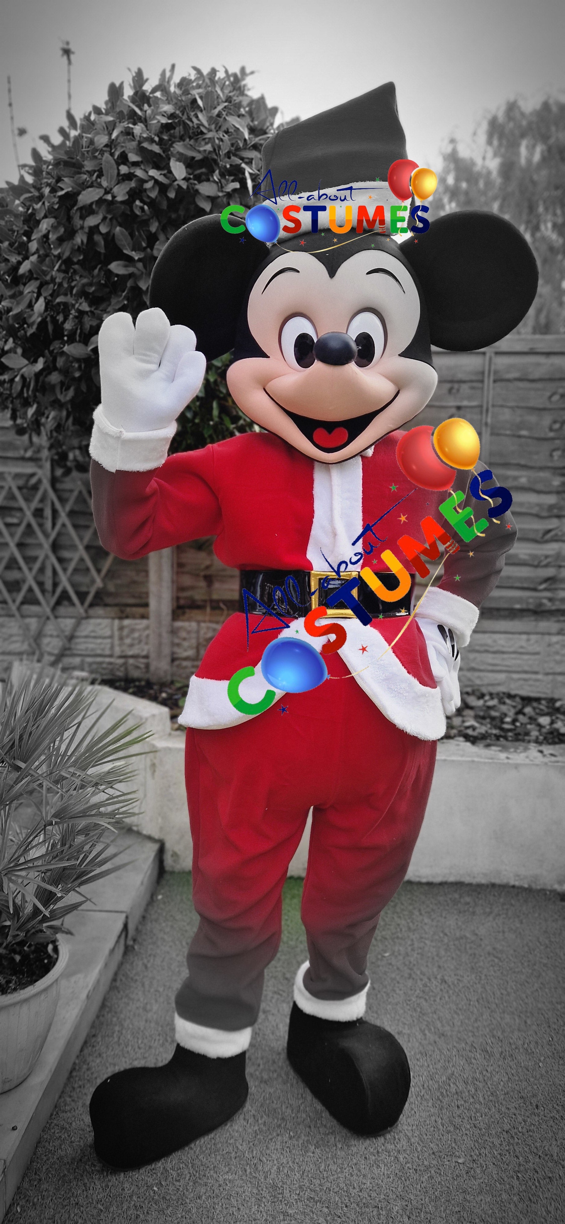 Z Elf en el estante Navidad