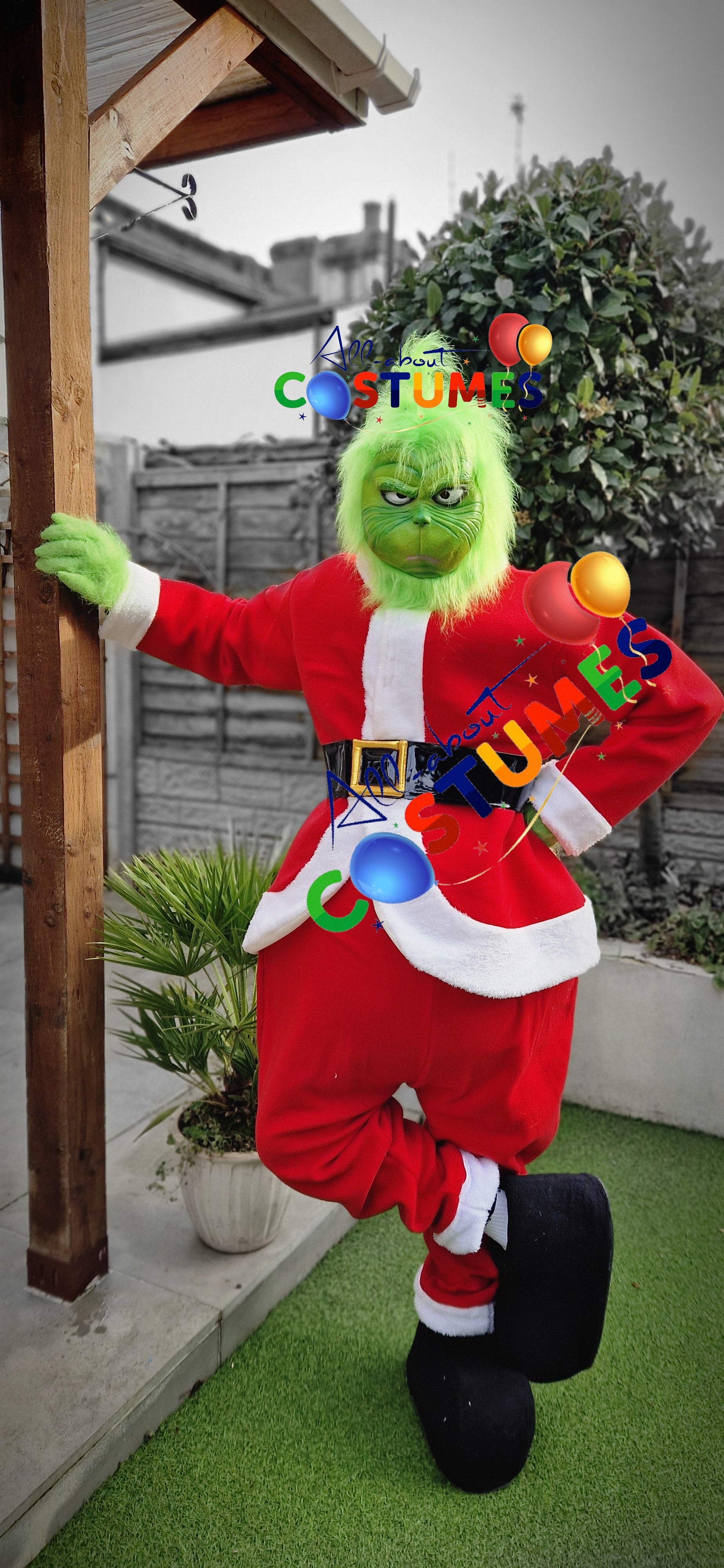 Z Elf en el estante Navidad