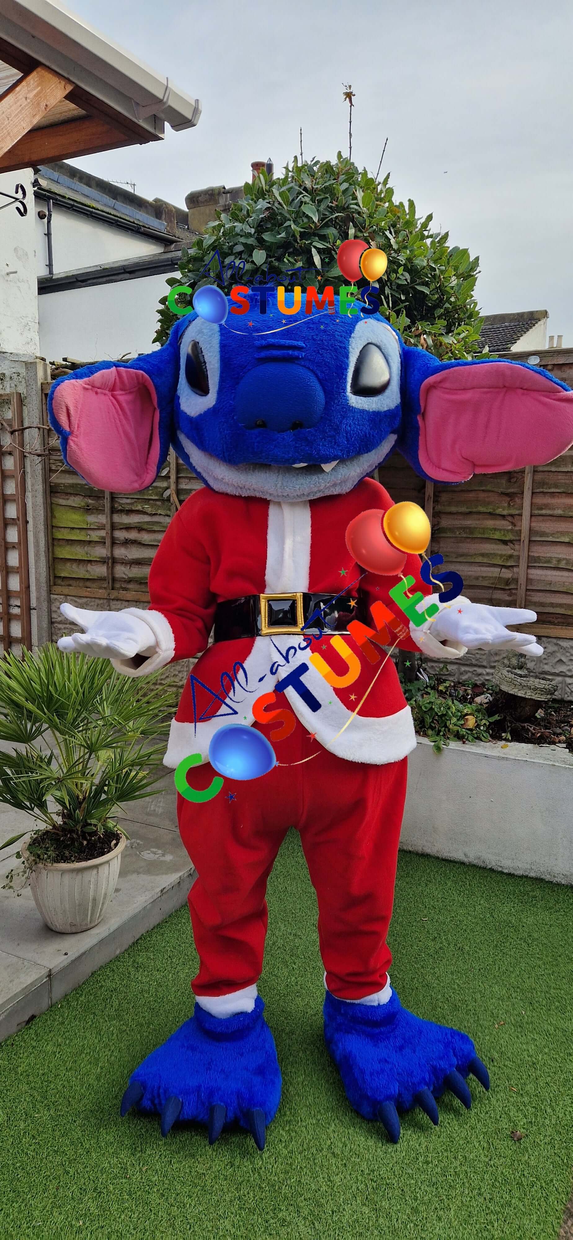 Z Elf en el estante Navidad