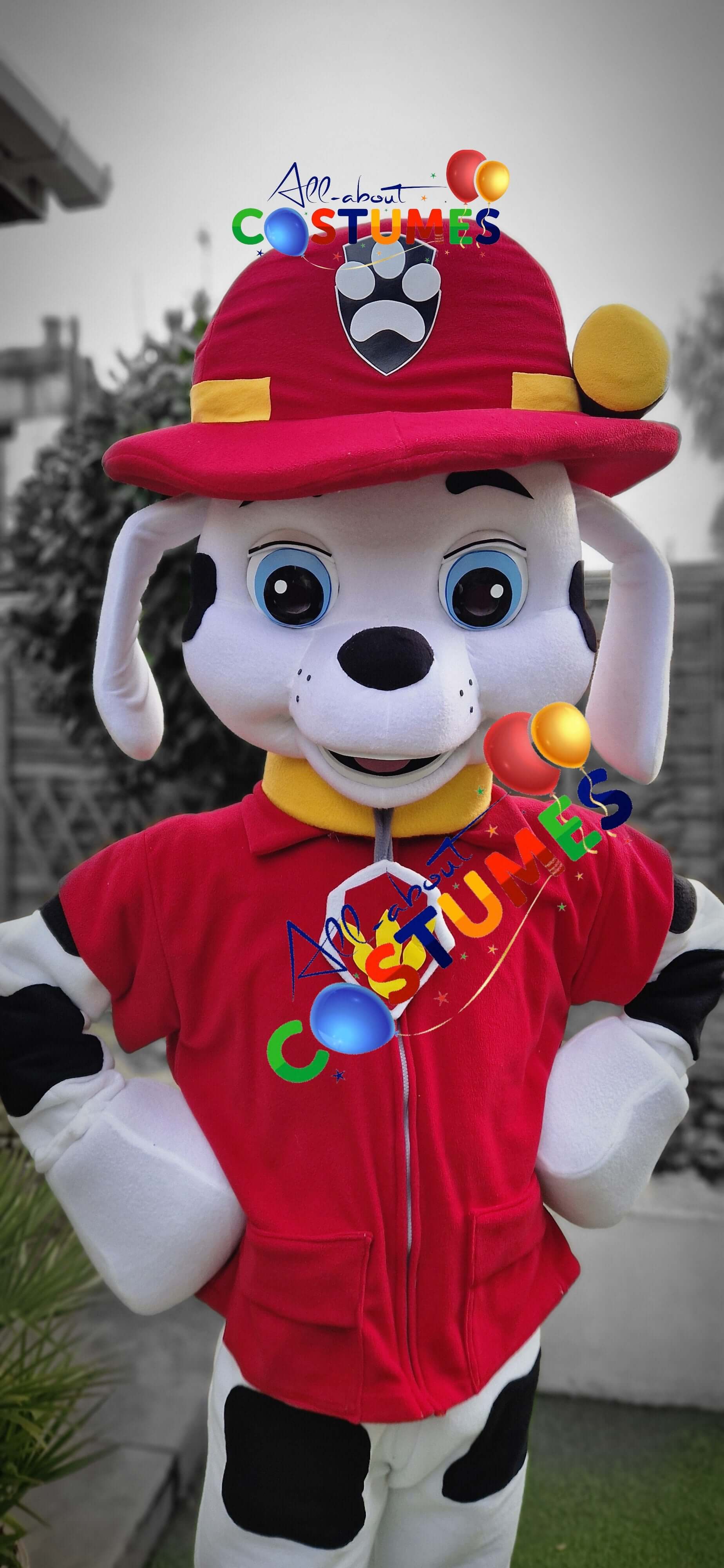 Paw Patrol Marshall with Pink Paws B