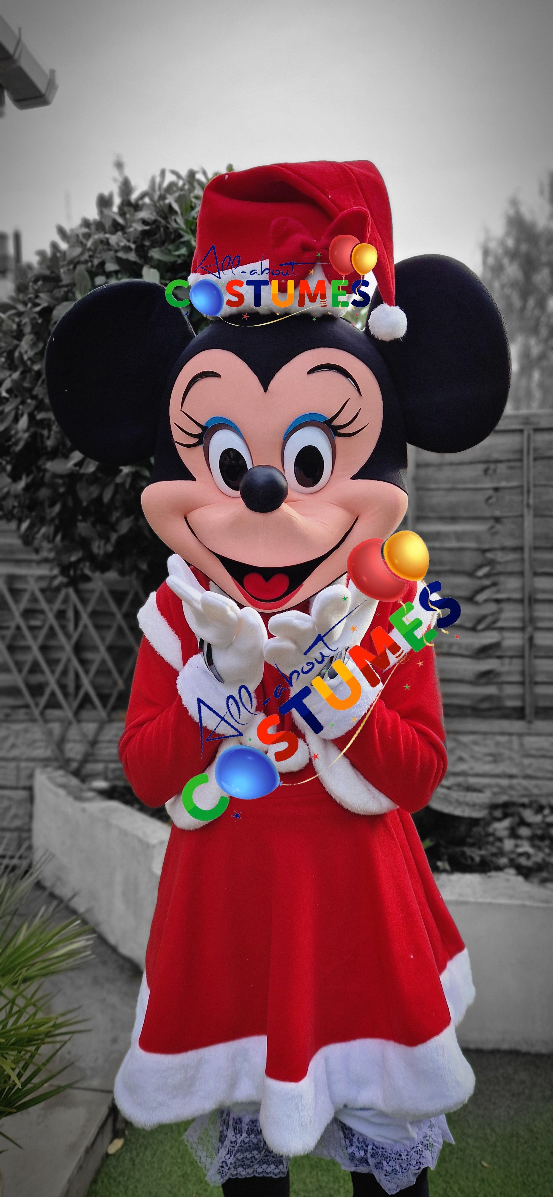 Z Elf en el estante Navidad