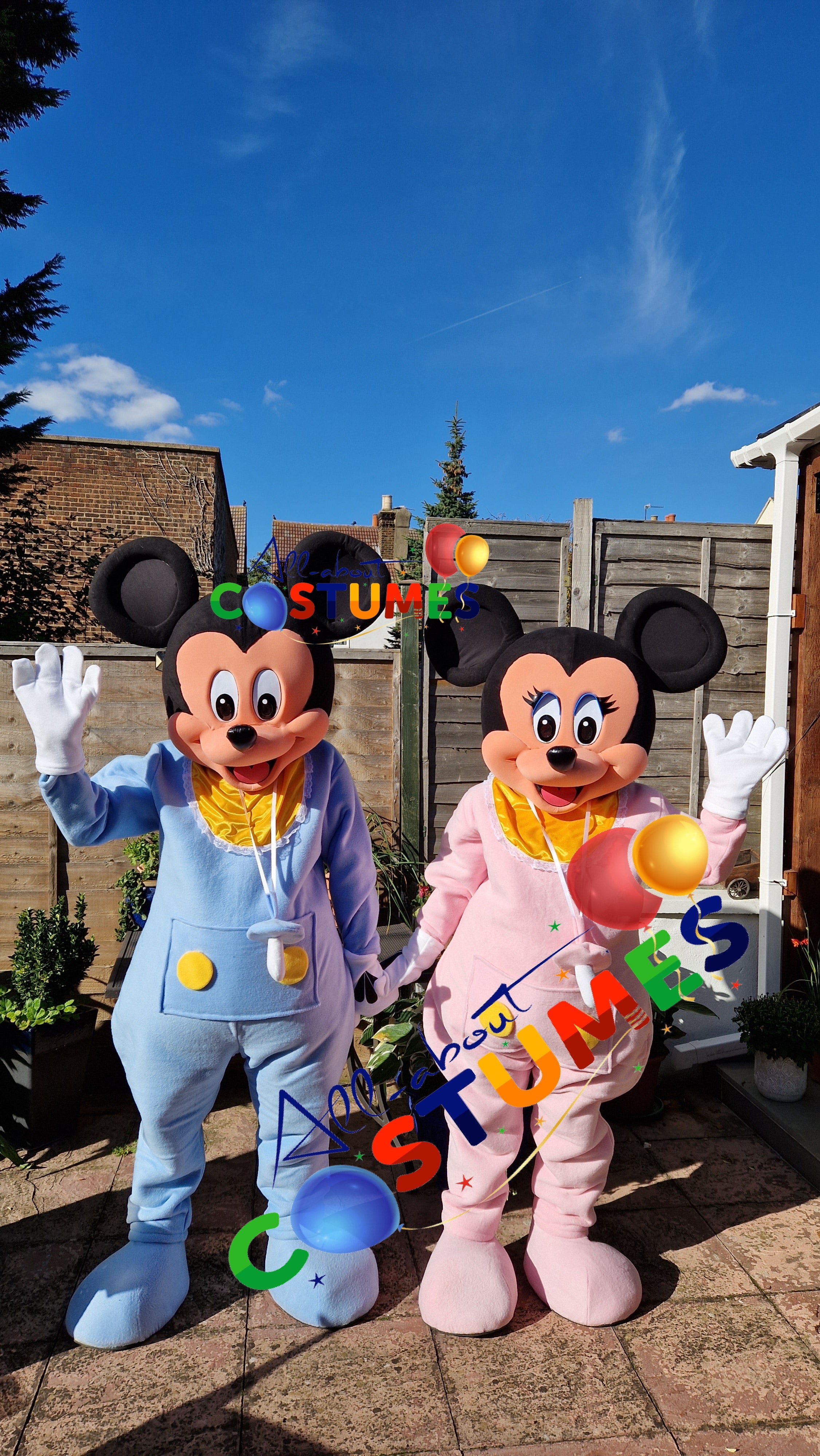 SAB Mickey y Minnie REVELACIÓN DE GÉNERO