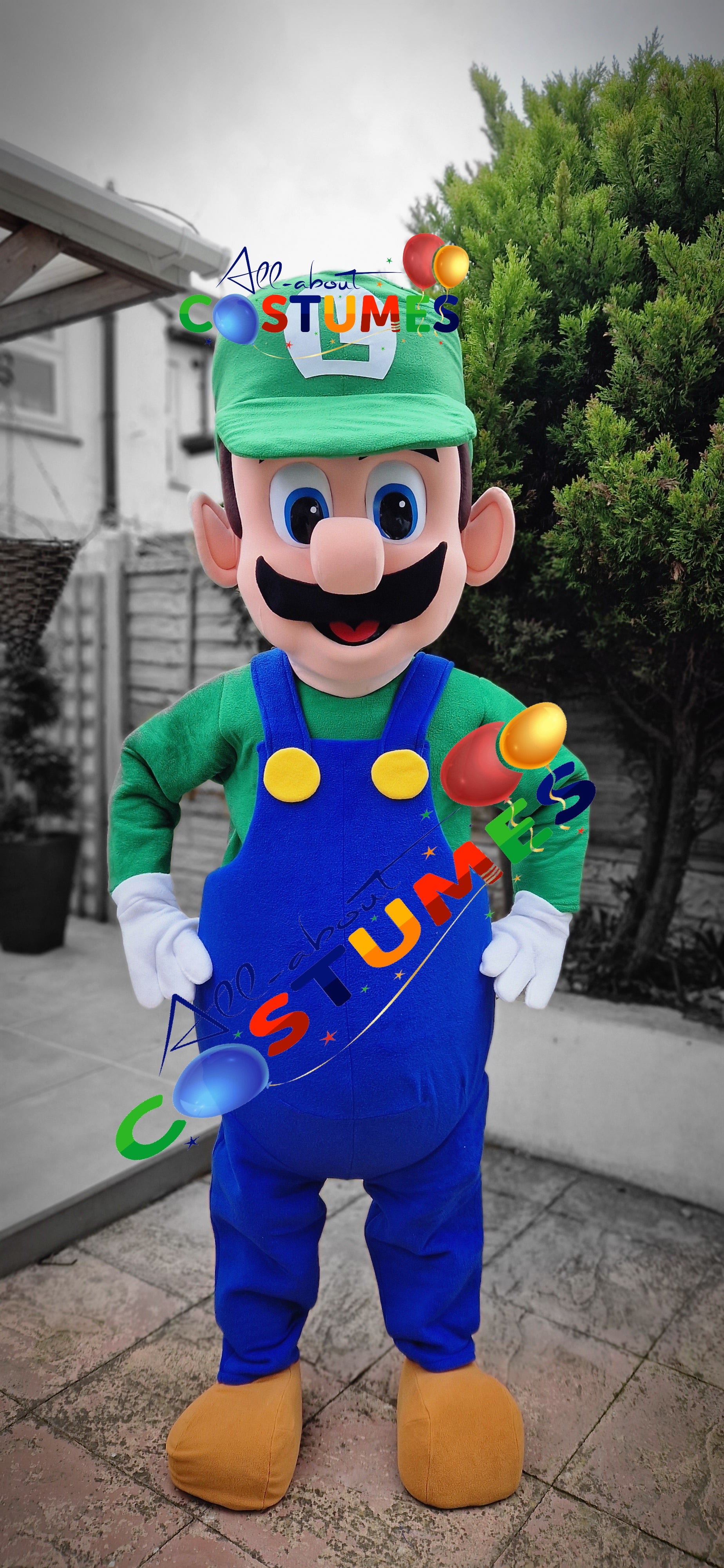 luigi