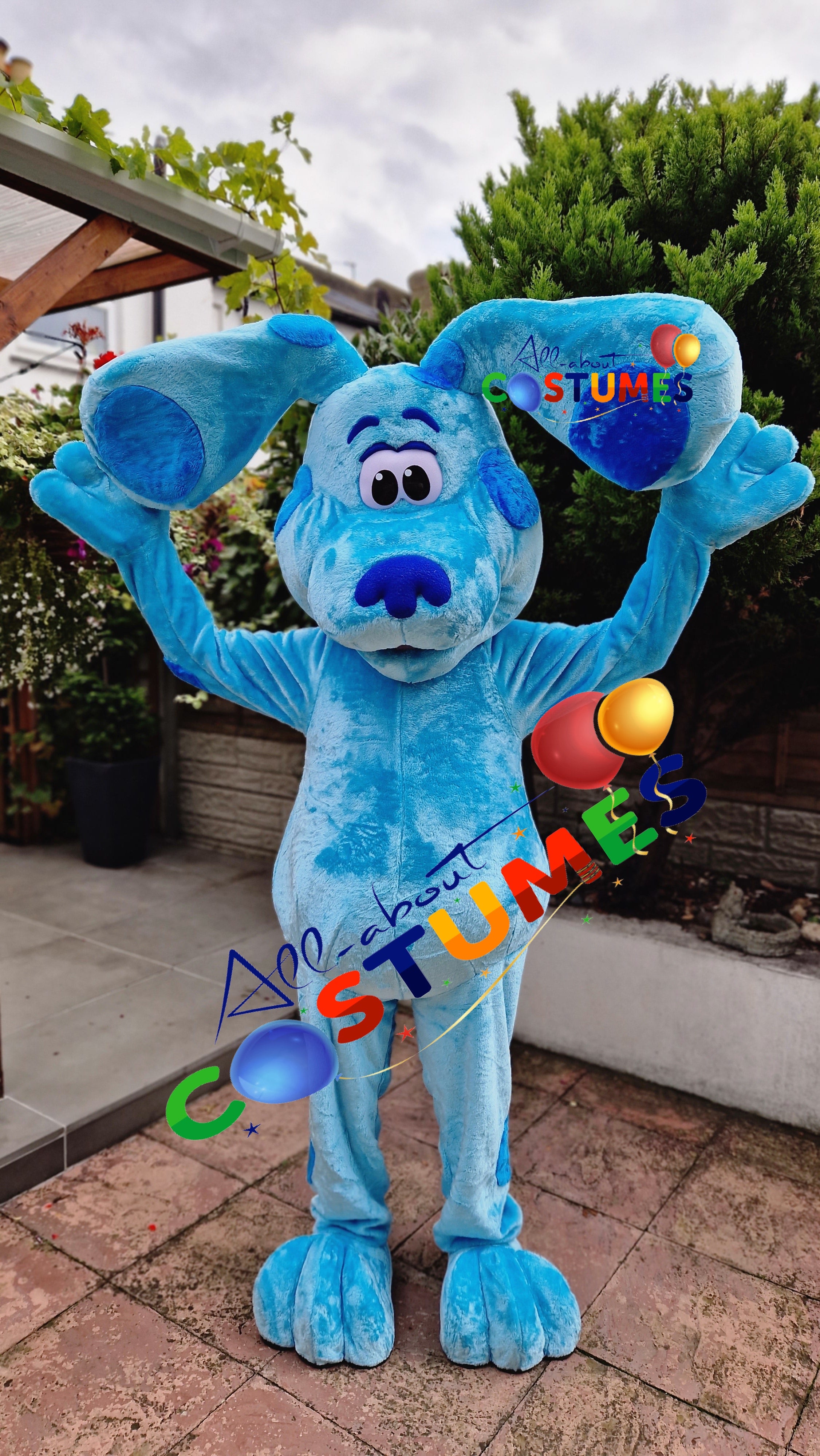 Blue's Clues and You