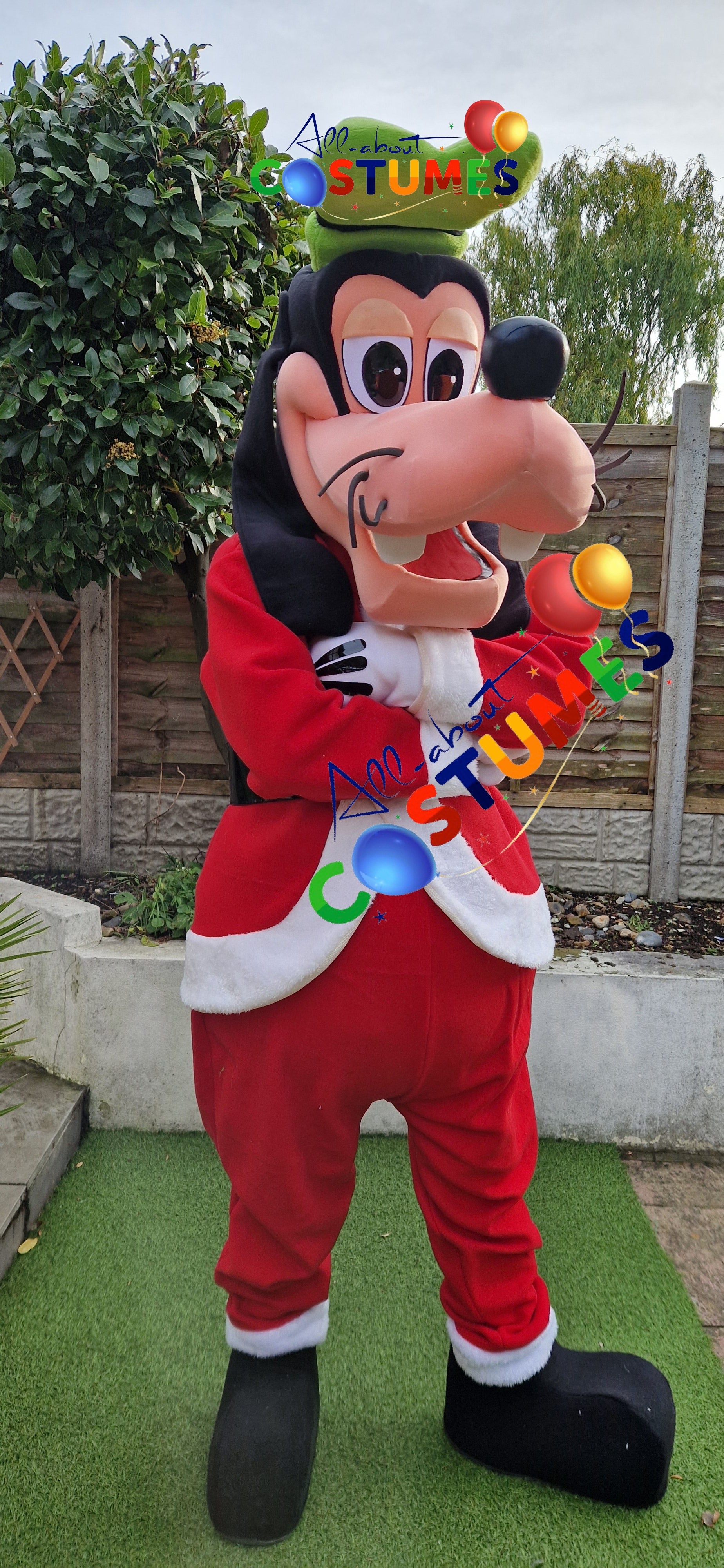 Z Elf en el estante Navidad