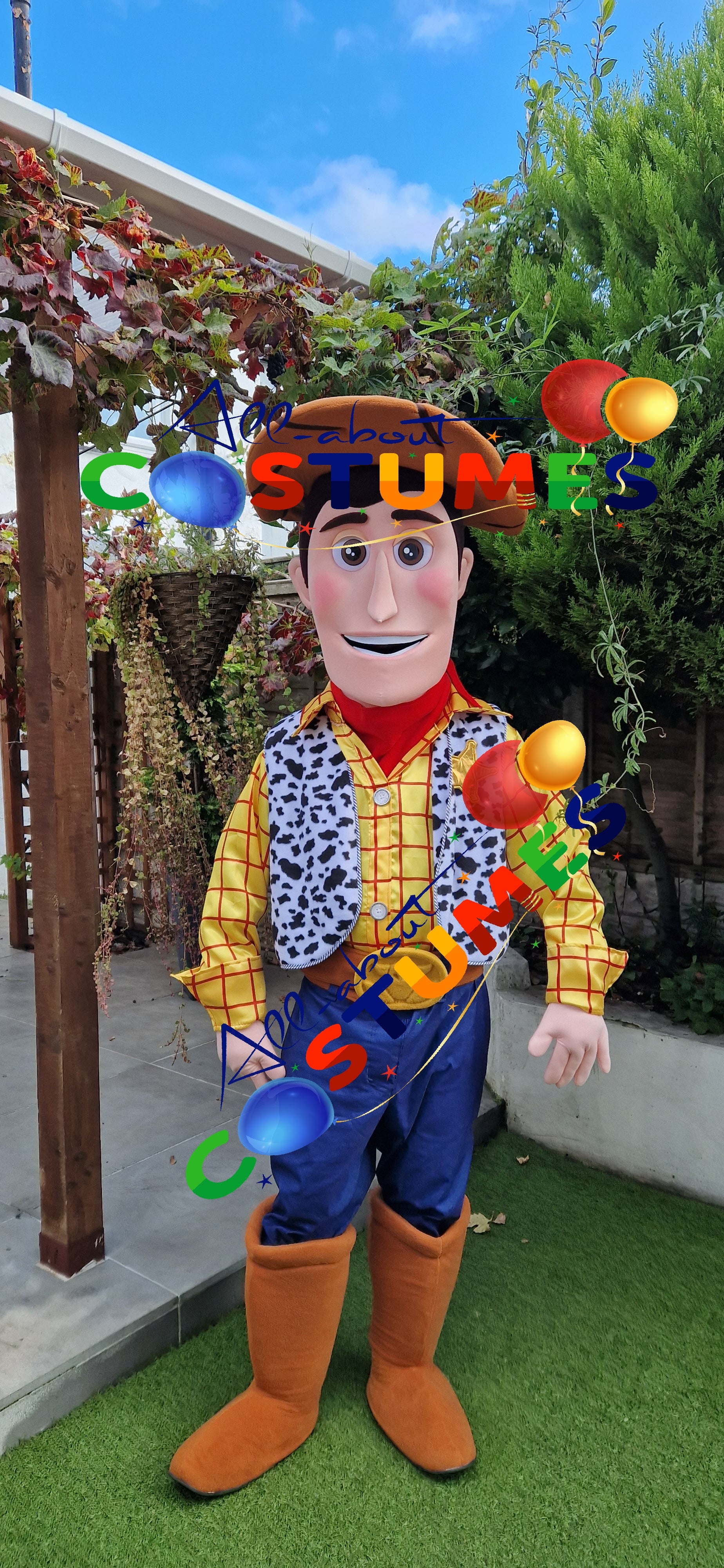 Toy Story Woody