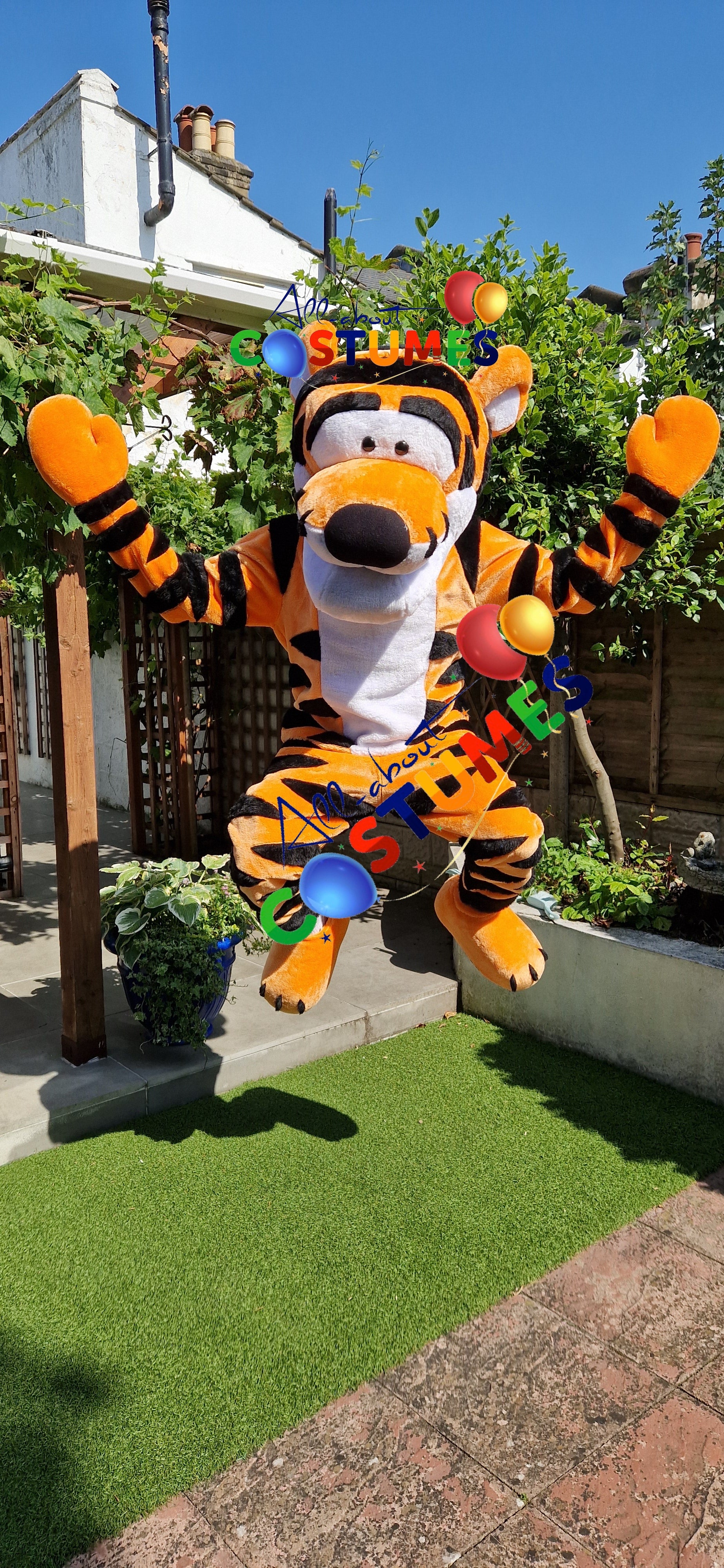 Tigger Winnie the Pooh Bear