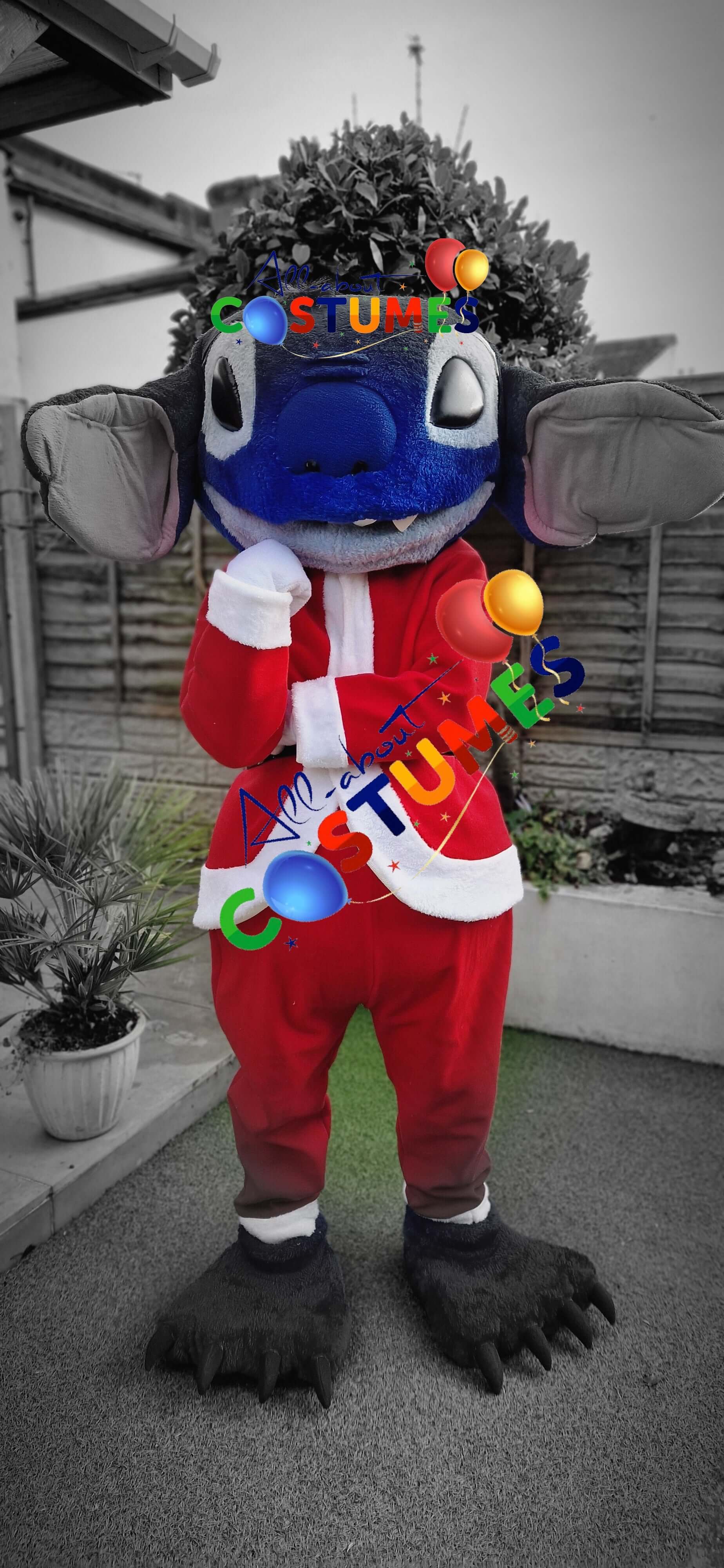 Z Elf en el estante Navidad