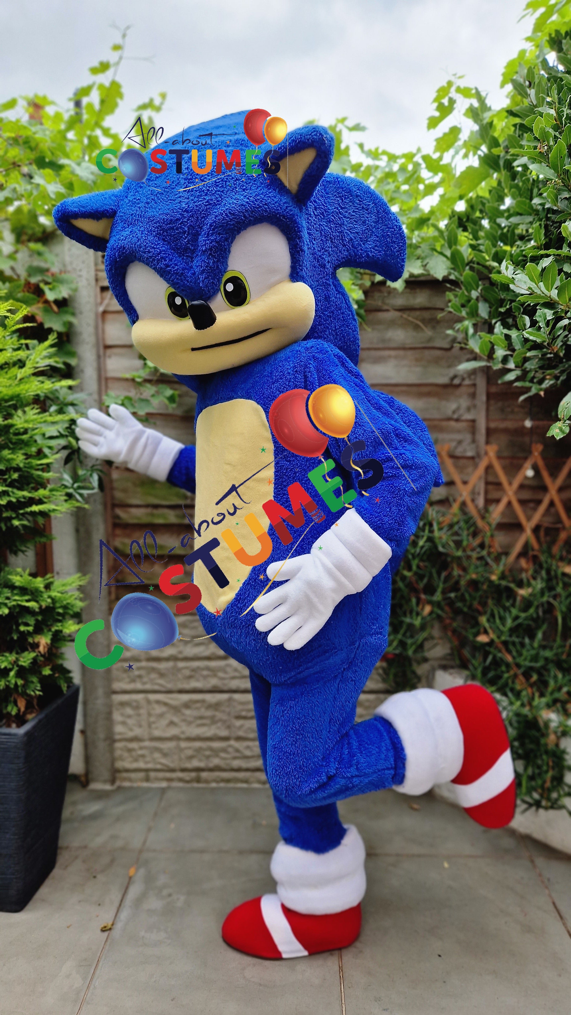 Sonic el erizo Edición limitada