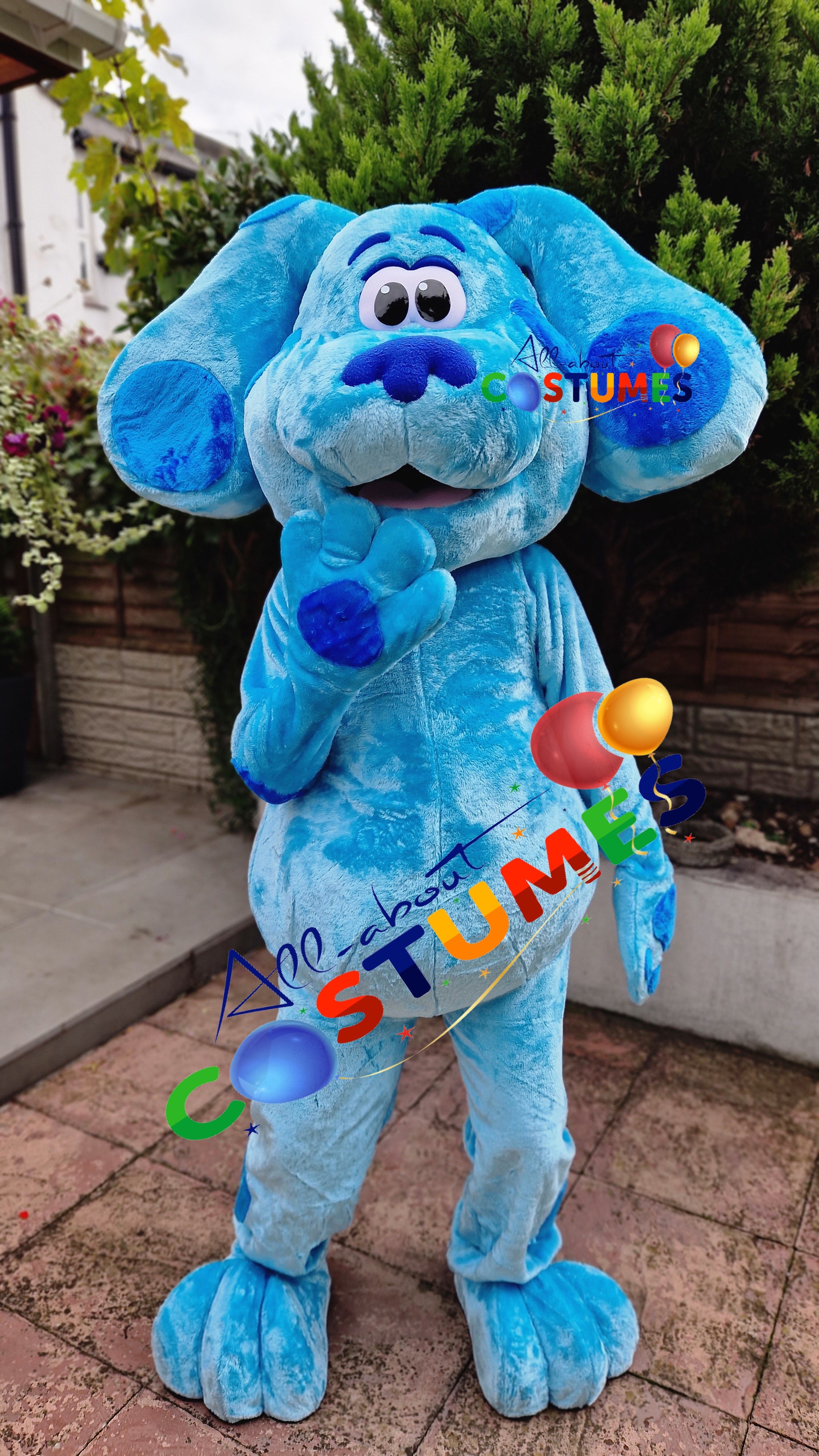 Blue's Clues and You