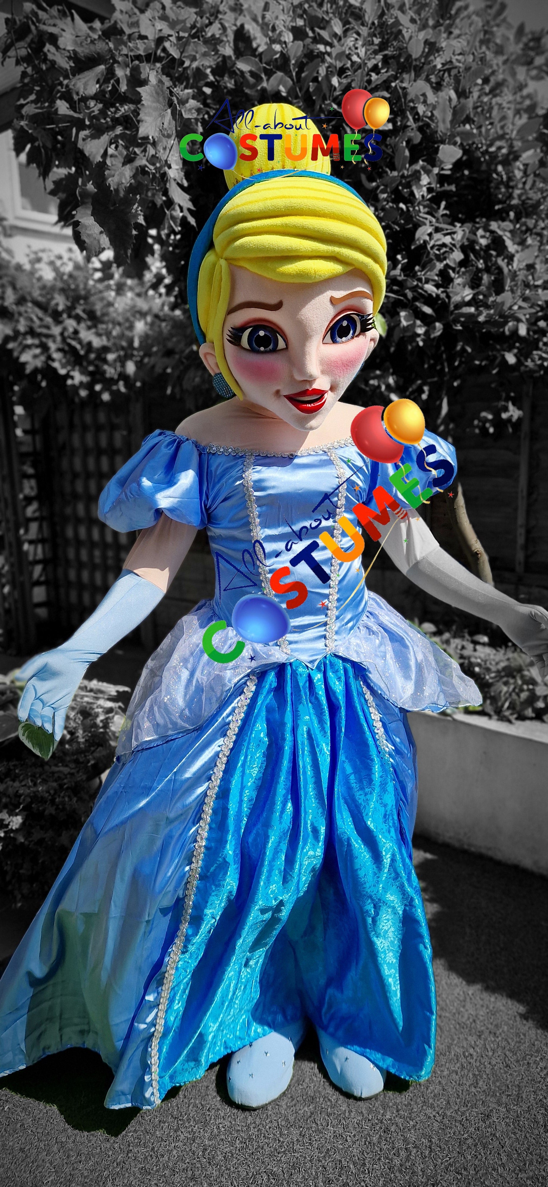 Patrulla Canina Ryder