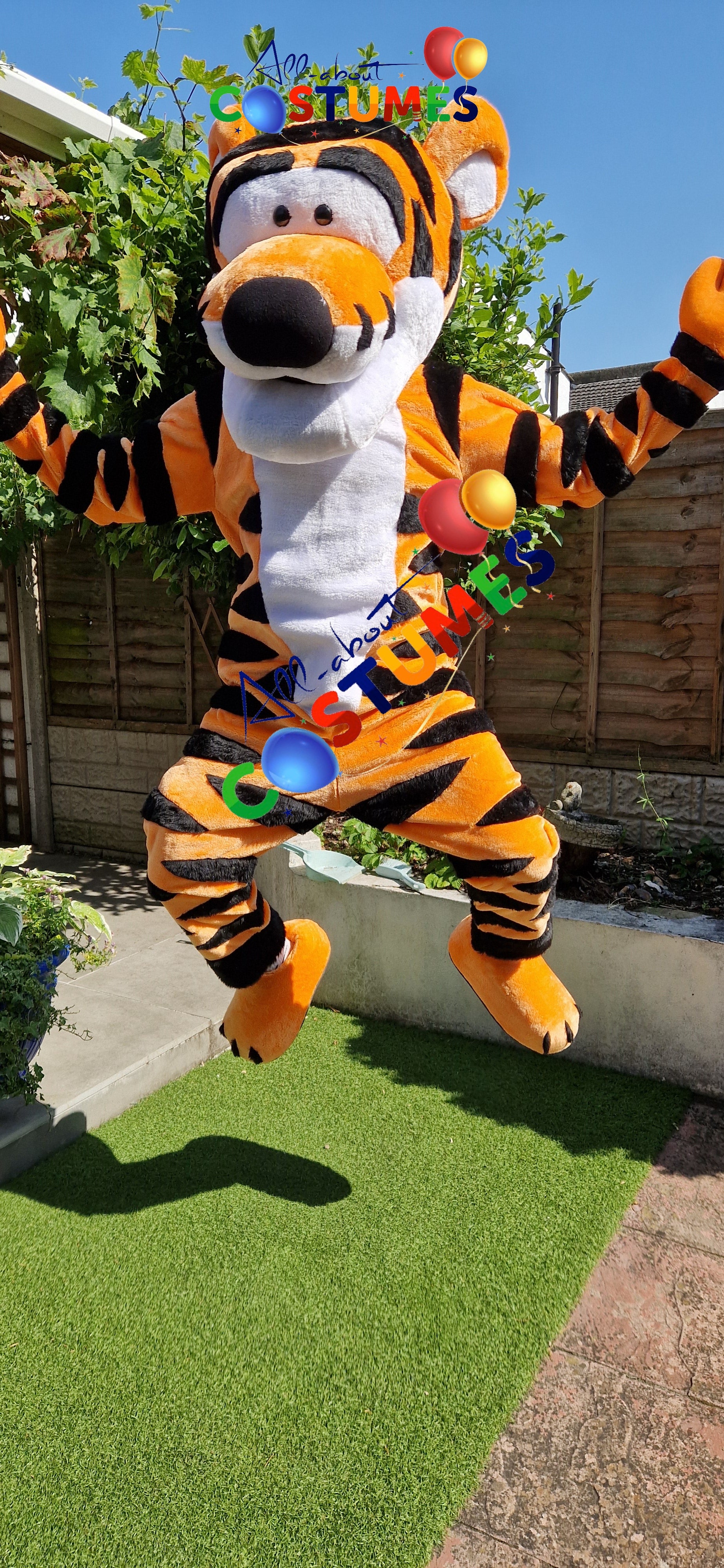 Tigger Winnie the Pooh Bear