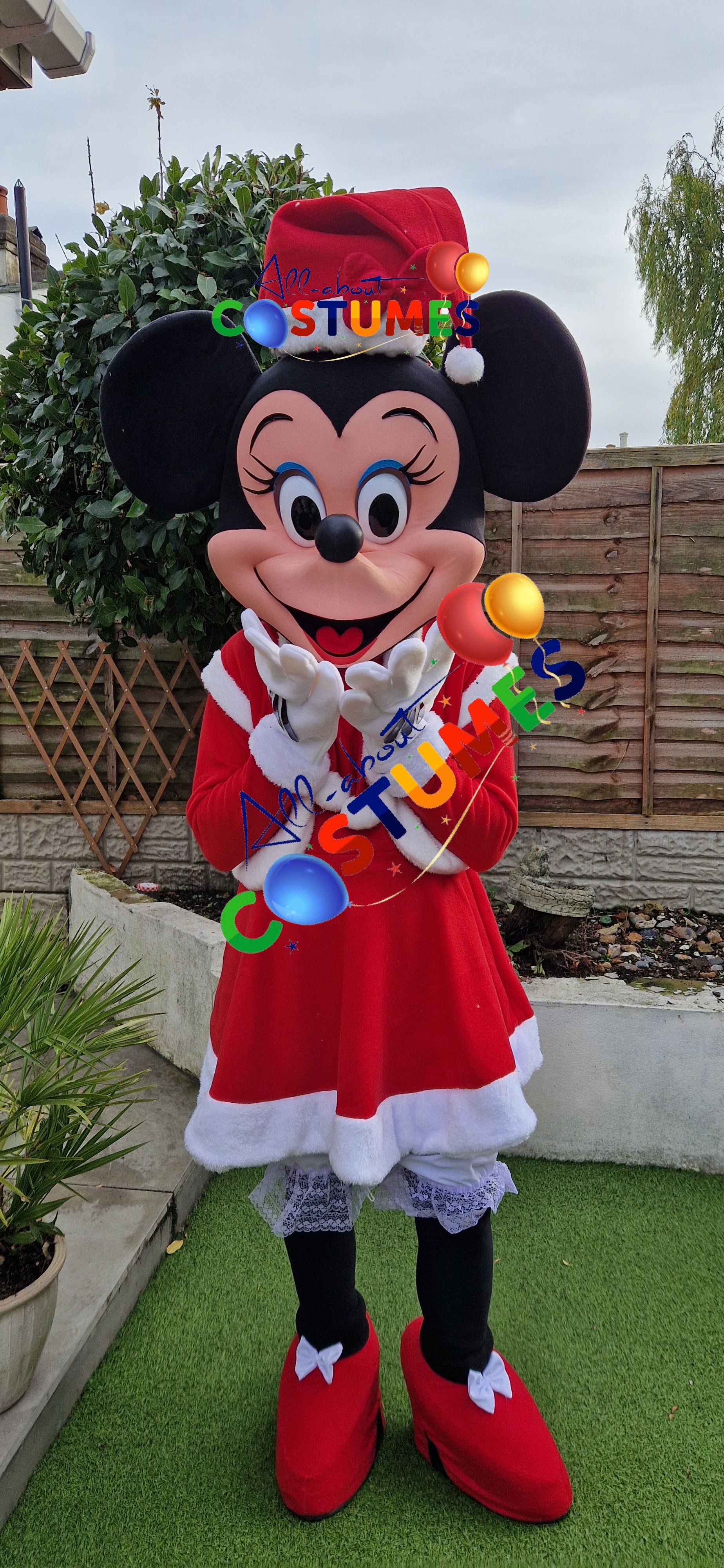 Z Elf en el estante Navidad