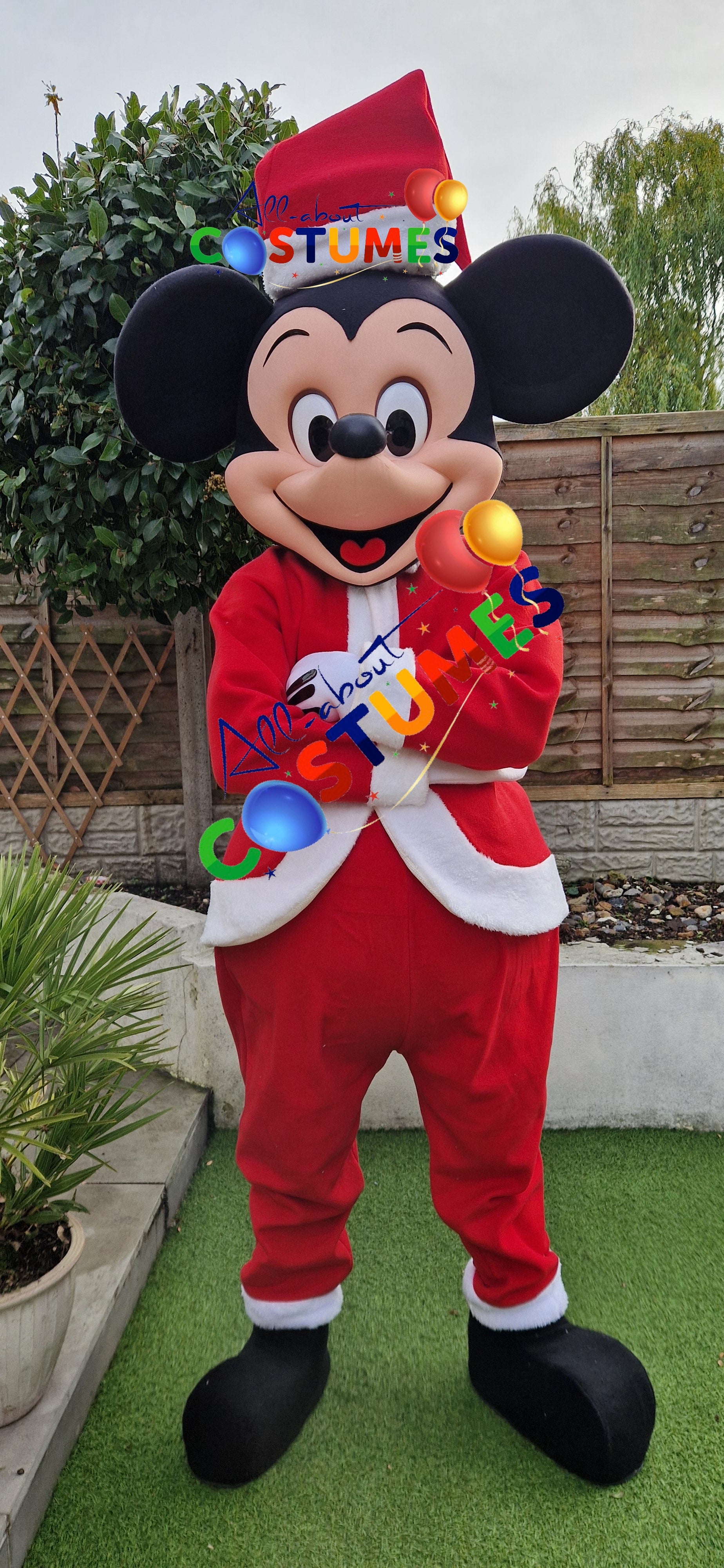 Z Elf en el estante Navidad