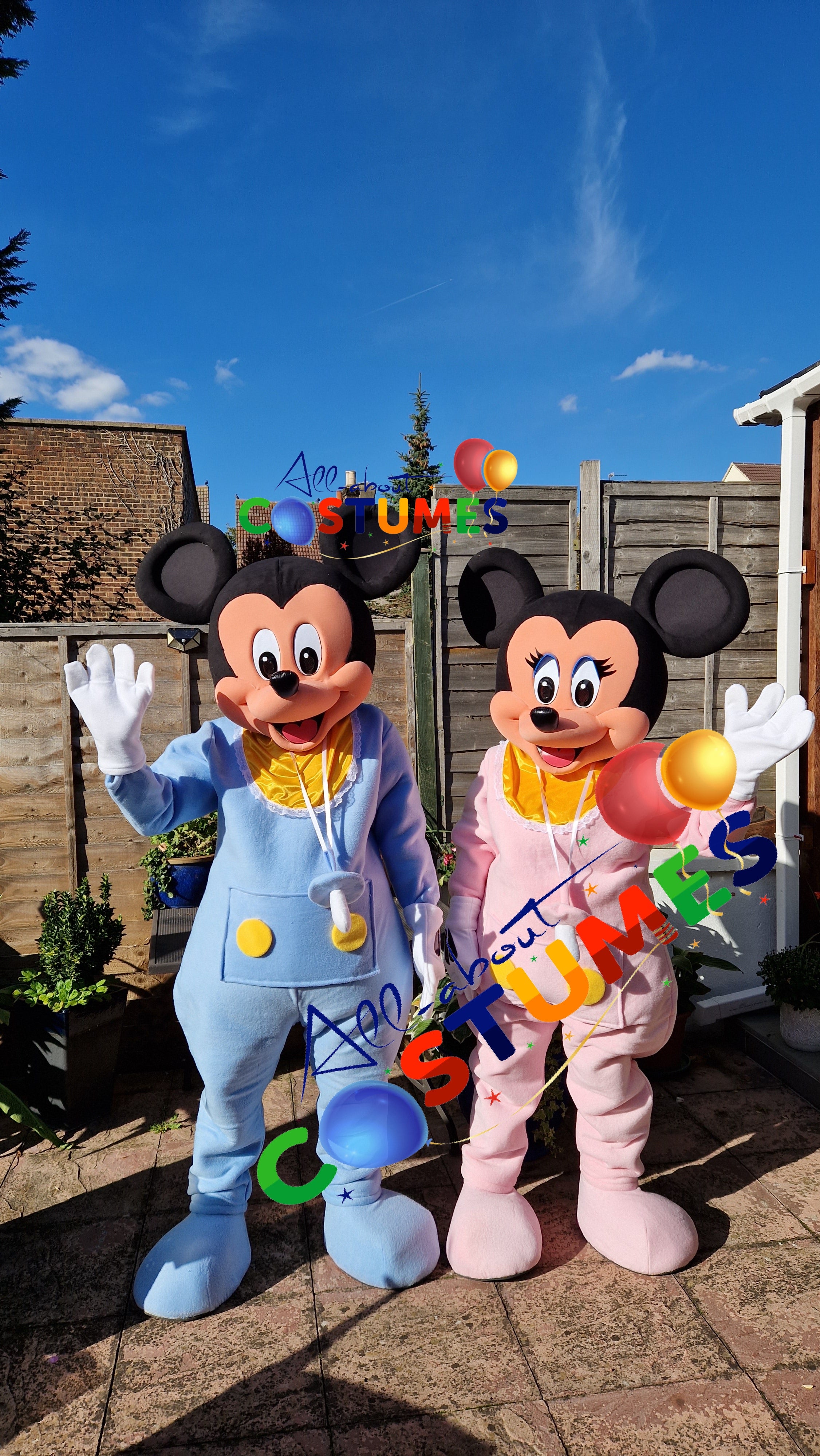 SAB Mickey y Minnie REVELACIÓN DE GÉNERO