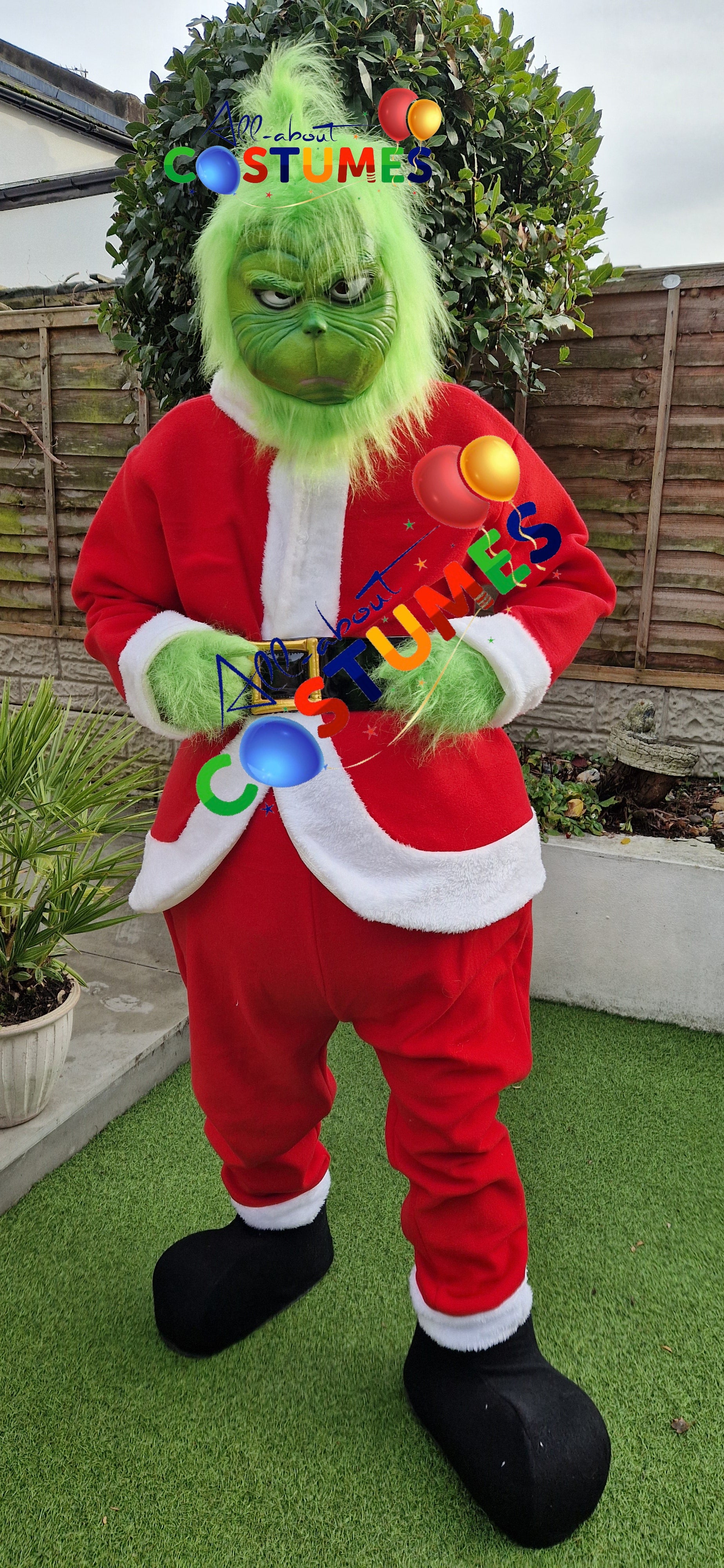 Z Elf en el estante Navidad