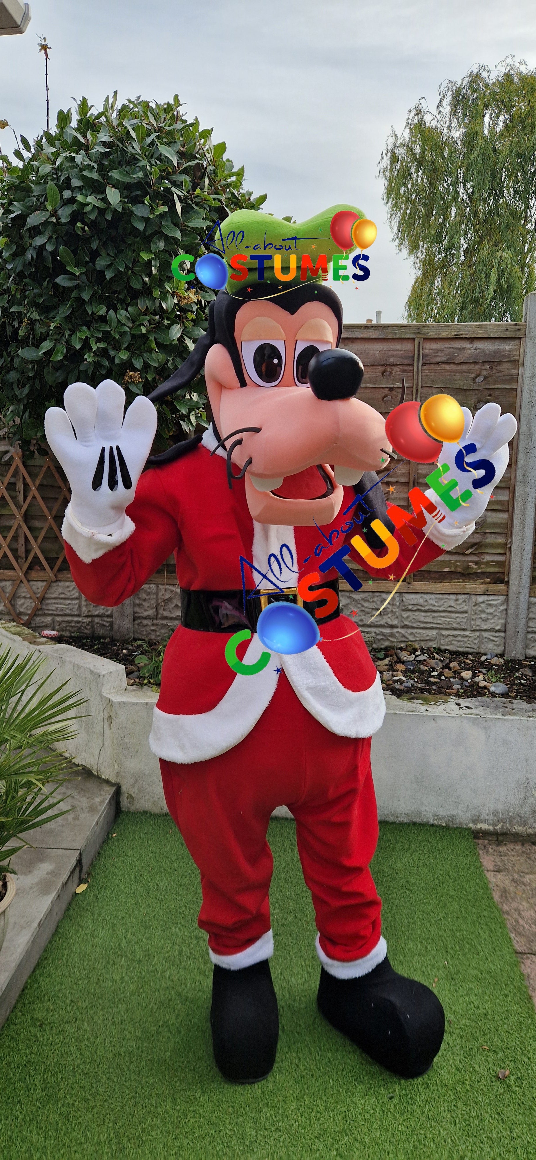 Z Elf en el estante Navidad