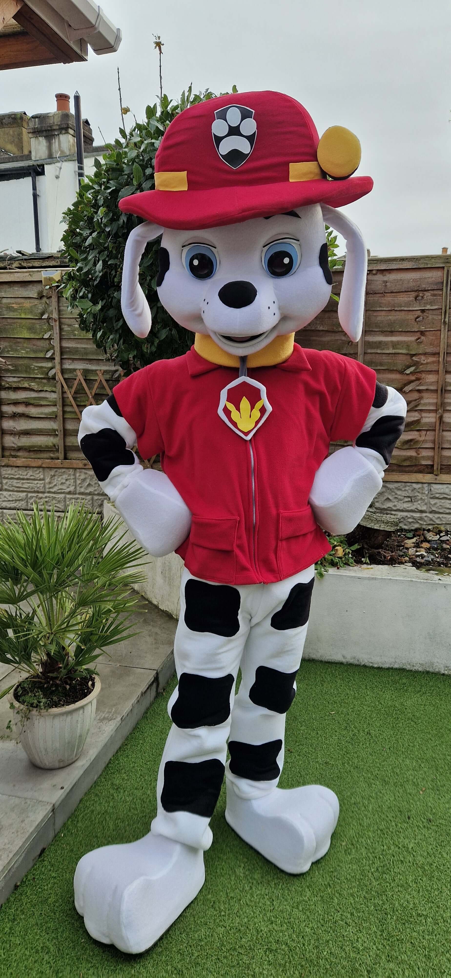 Paw Patrol Marshall with Pink Paws B