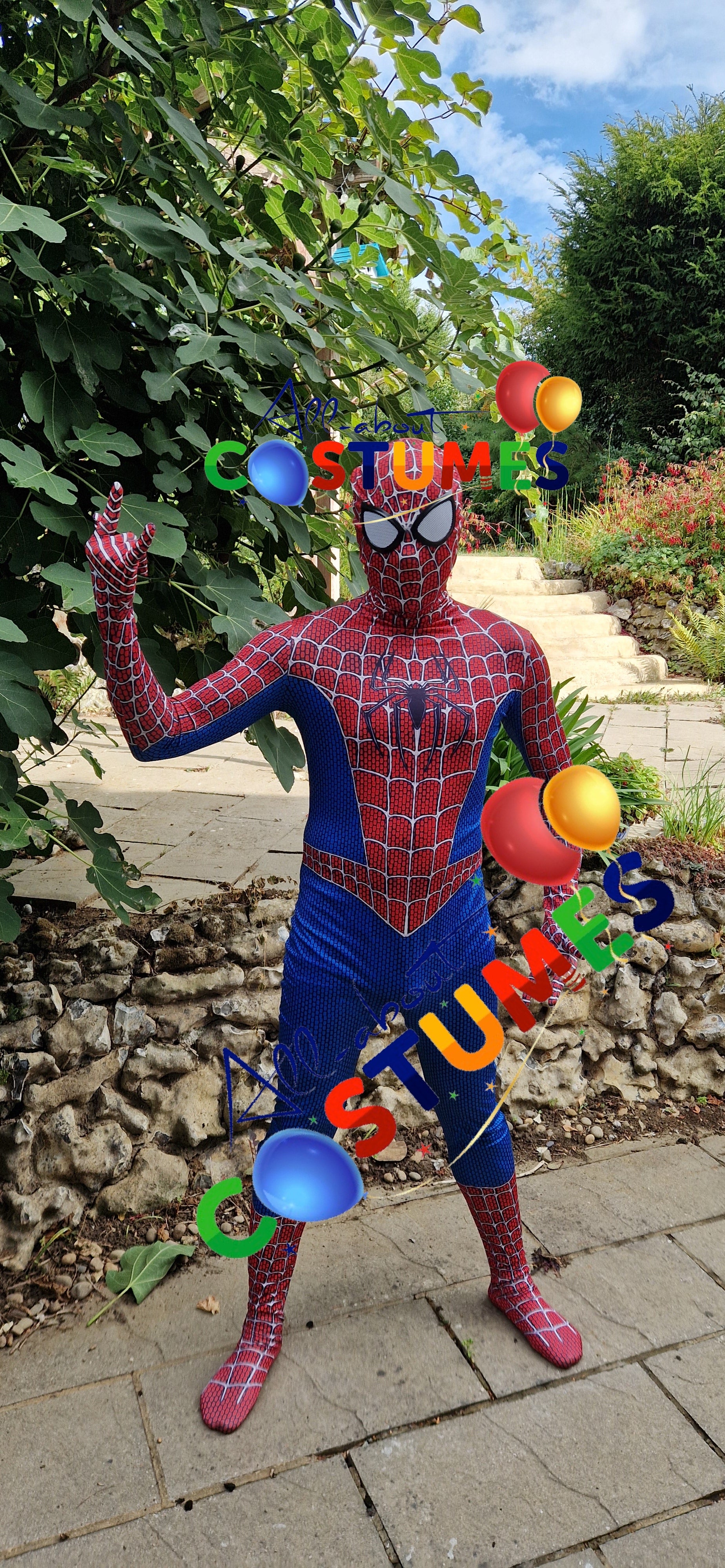 Hombre Araña