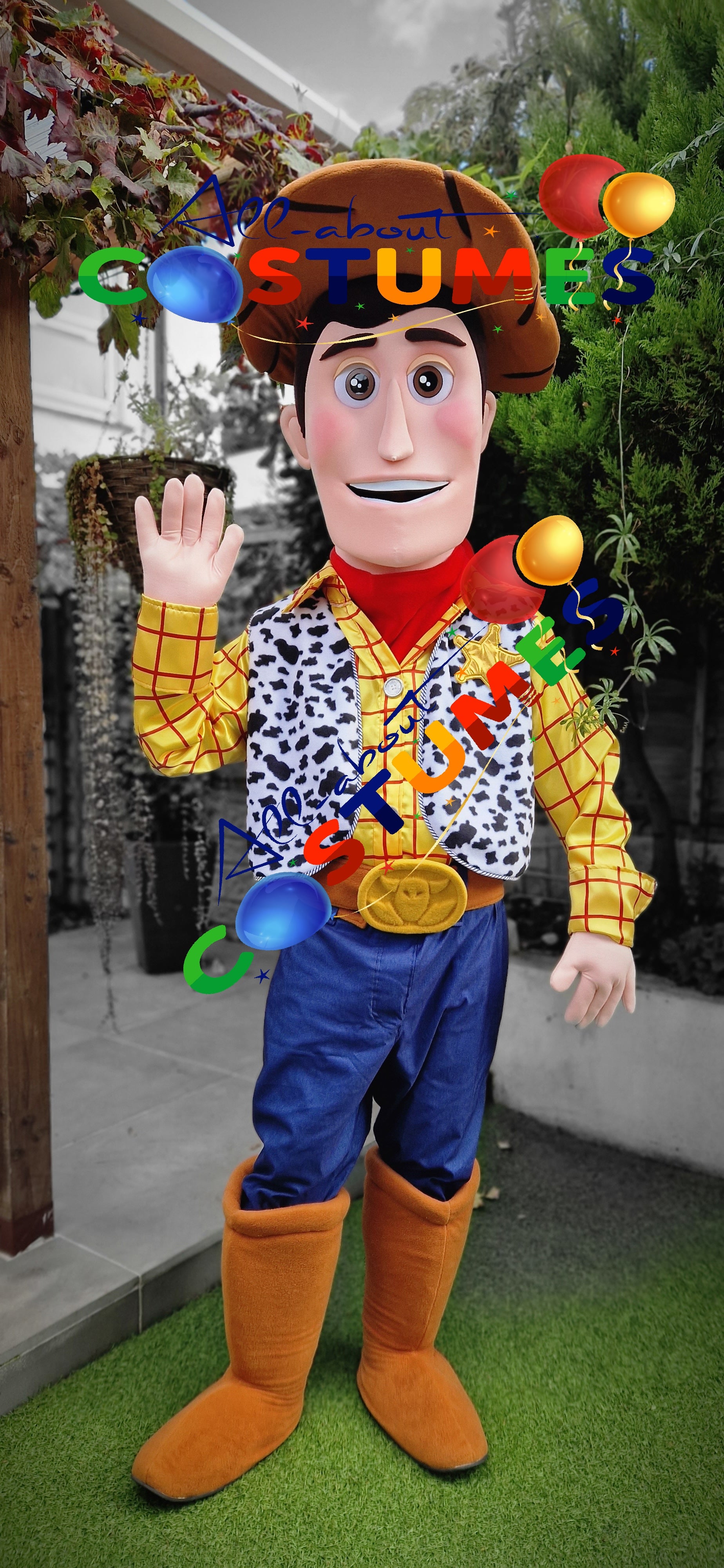 Toy Story Woody