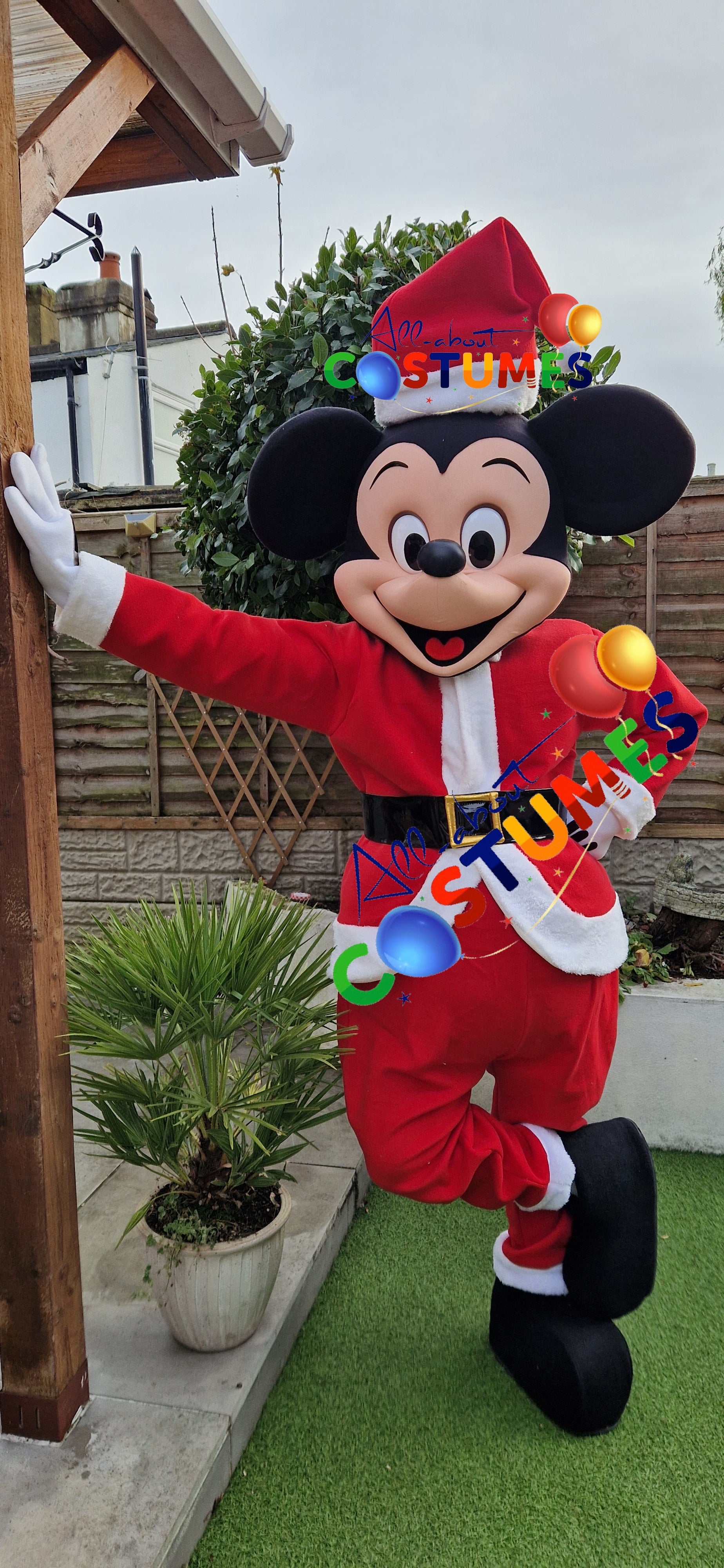 Z Elf en el estante Navidad