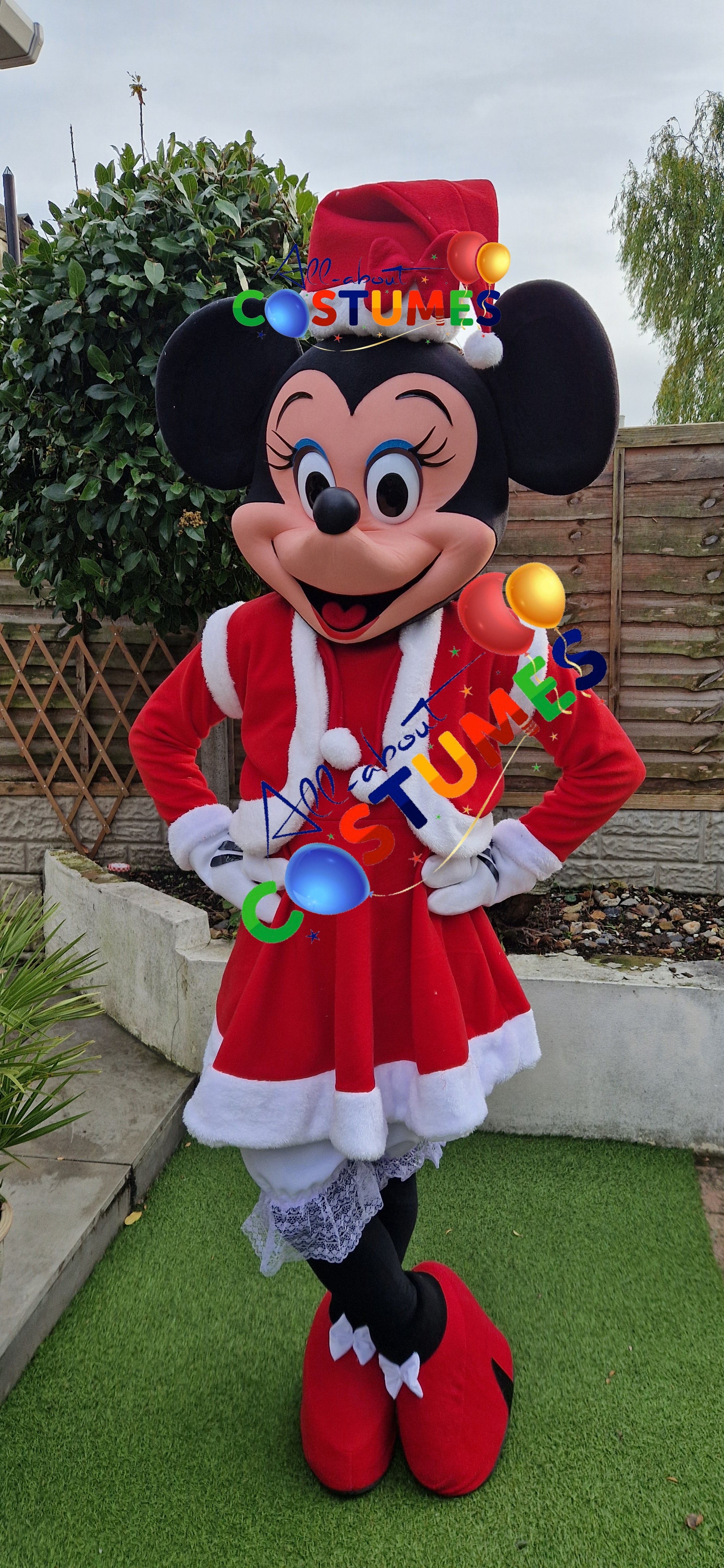 Z Elf en el estante Navidad