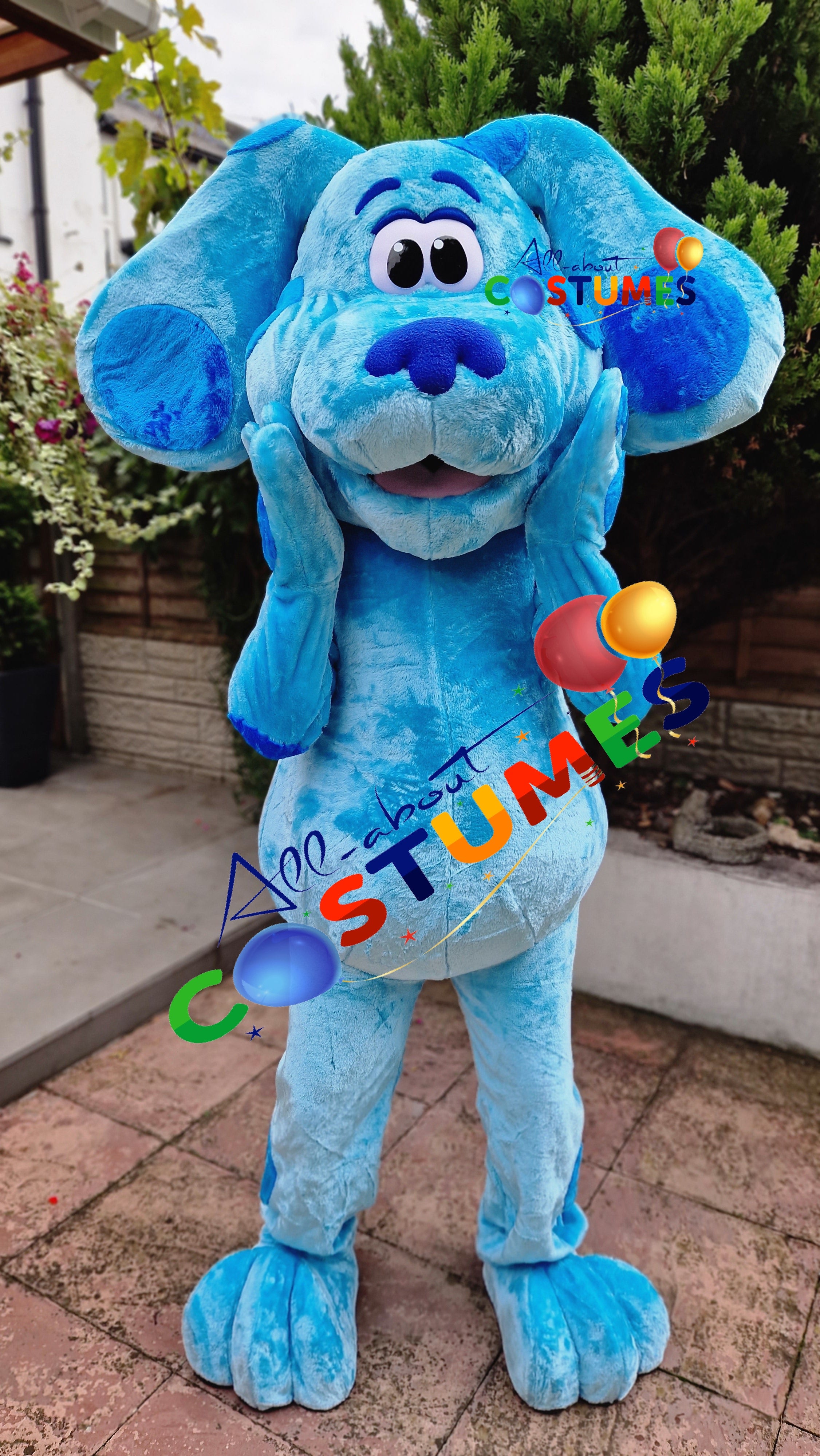 Blue's Clues and You