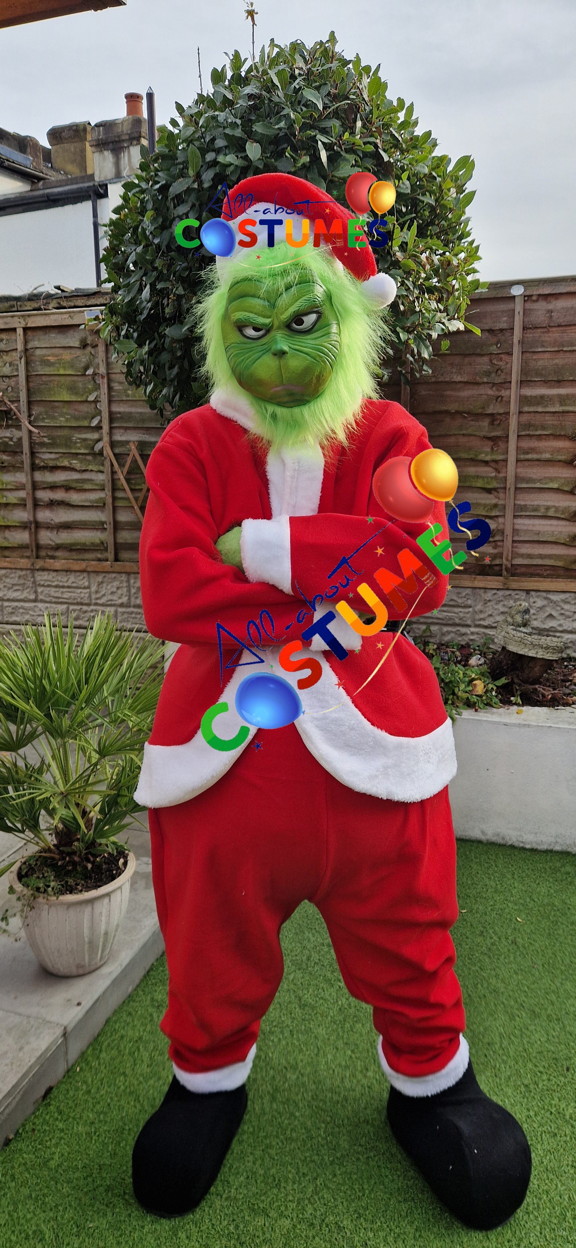 Z Elf en el estante Navidad