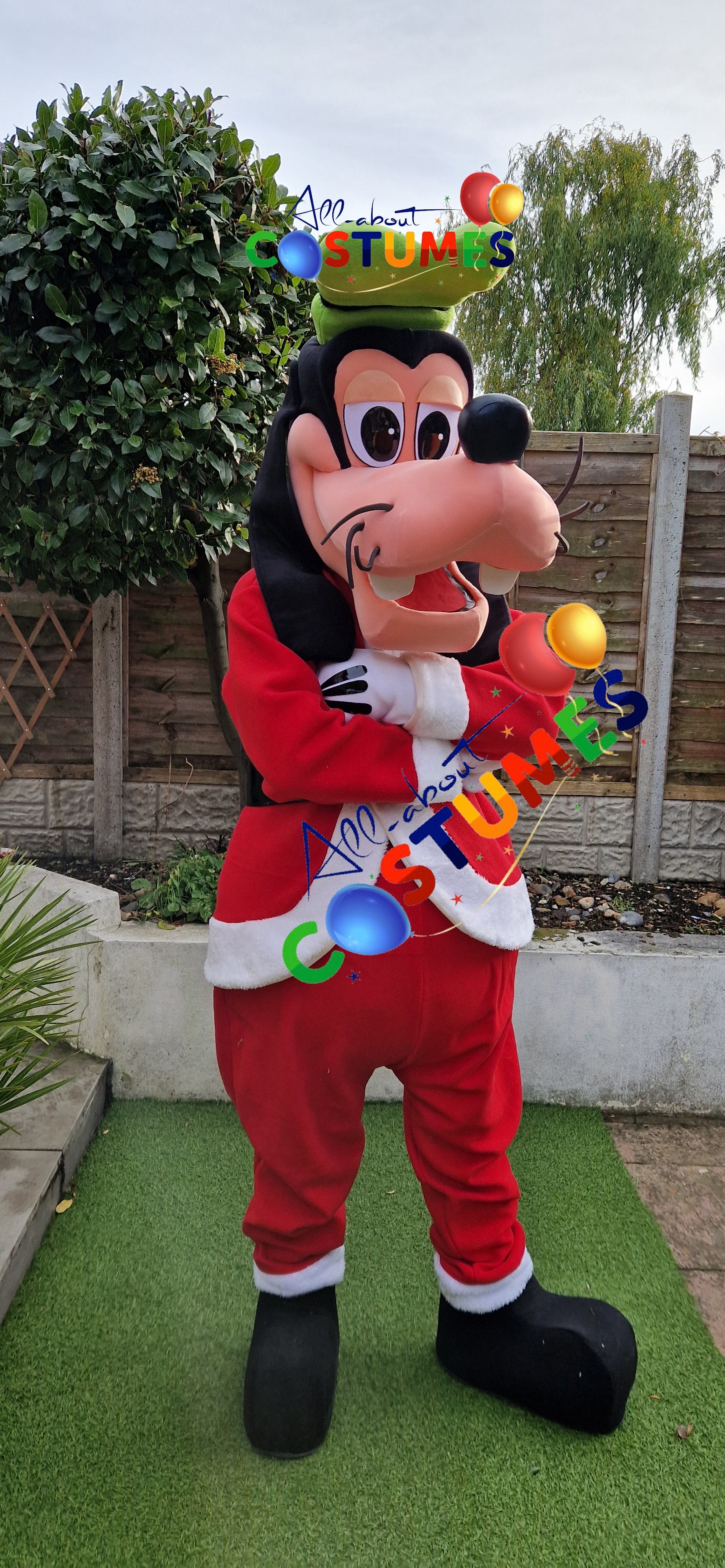 Z Elf en el estante Navidad