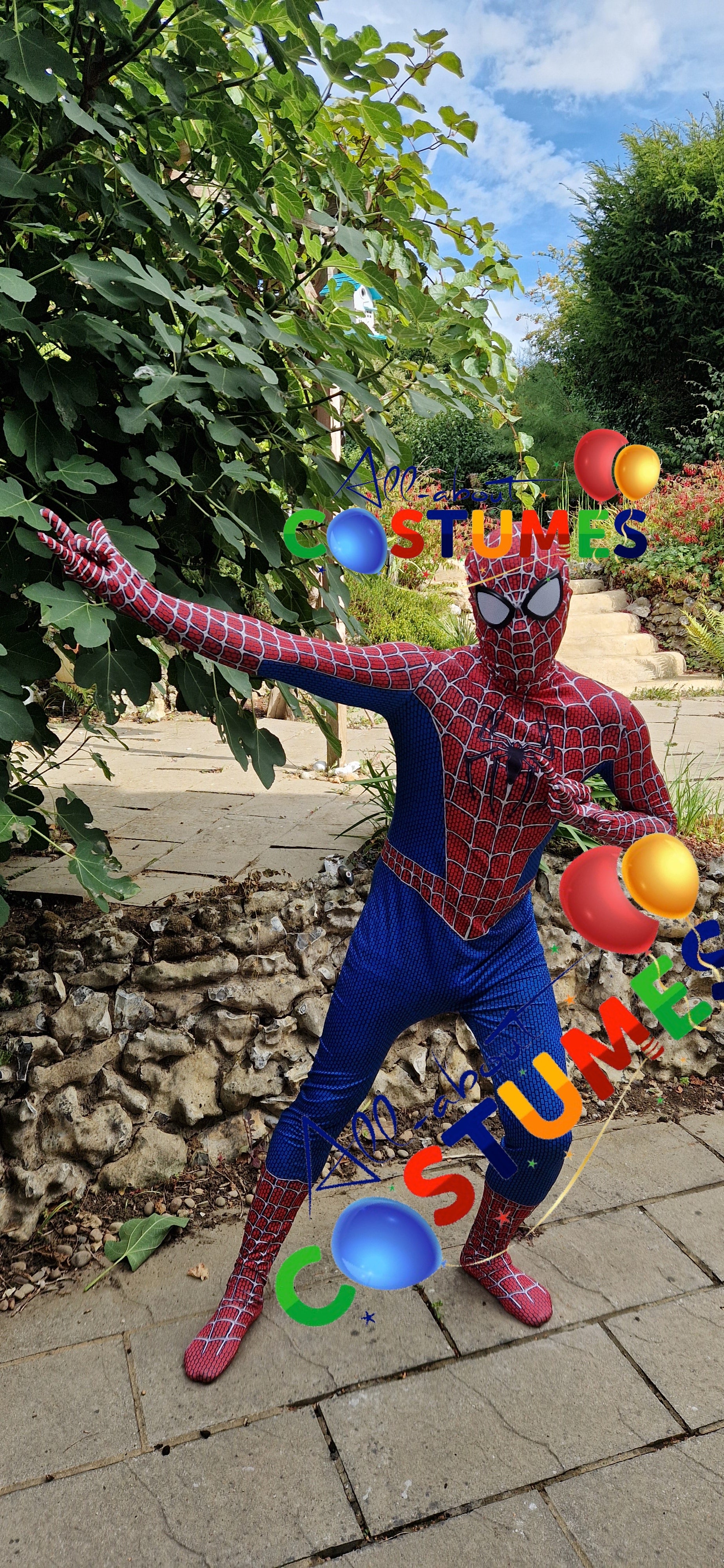 Hombre Araña