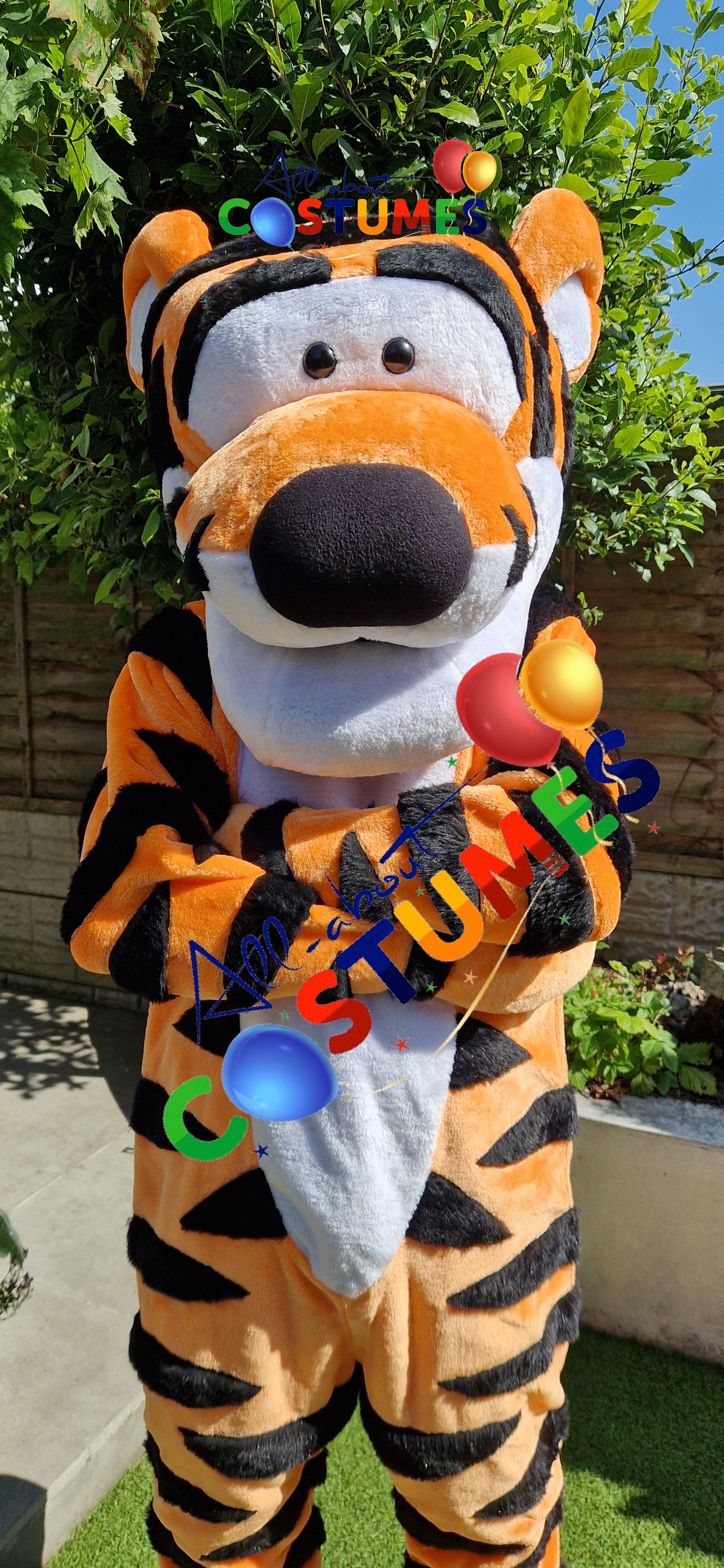 Tigger Winnie the Pooh Bear