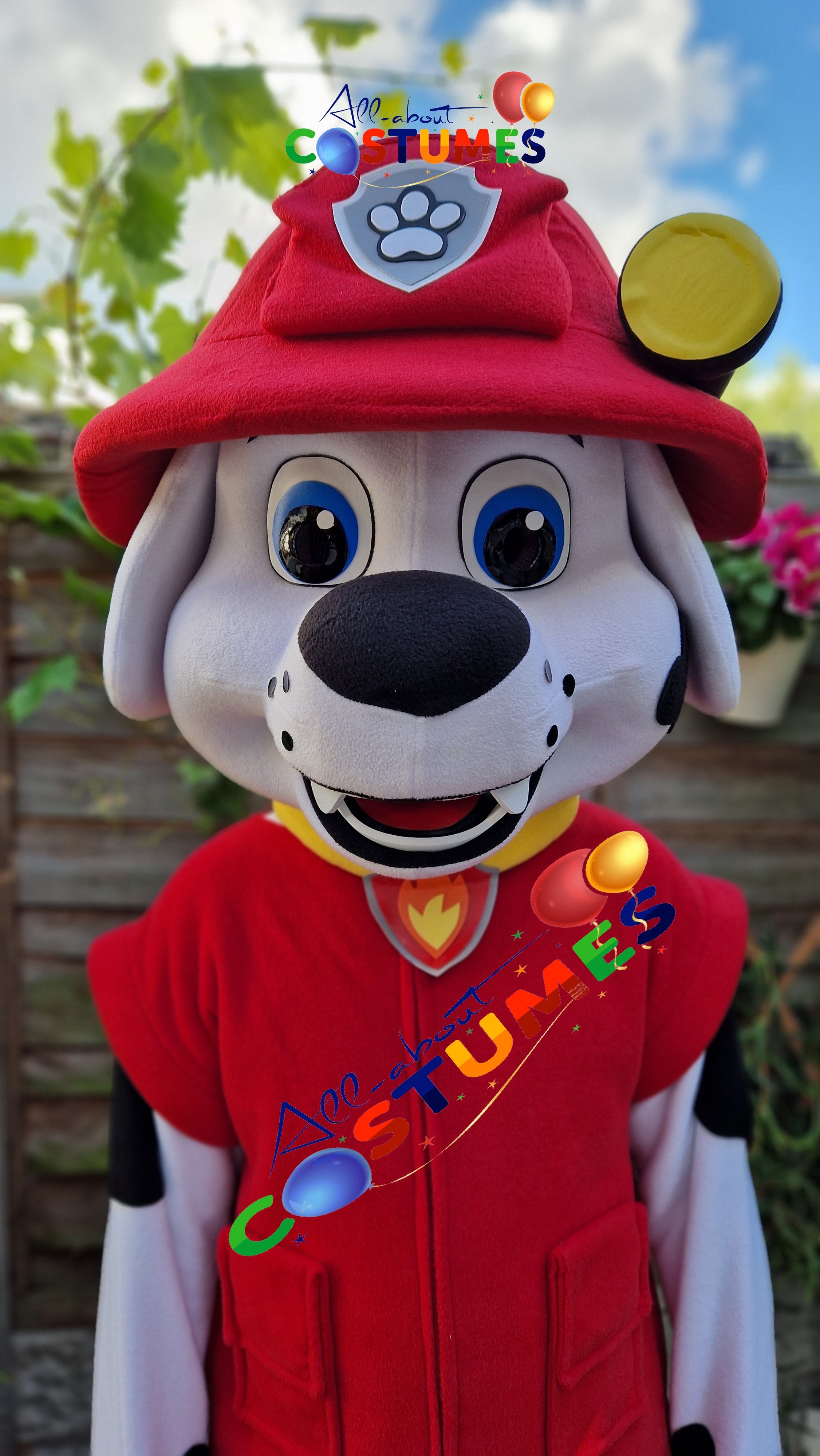 Marshall de la Patrulla Canina