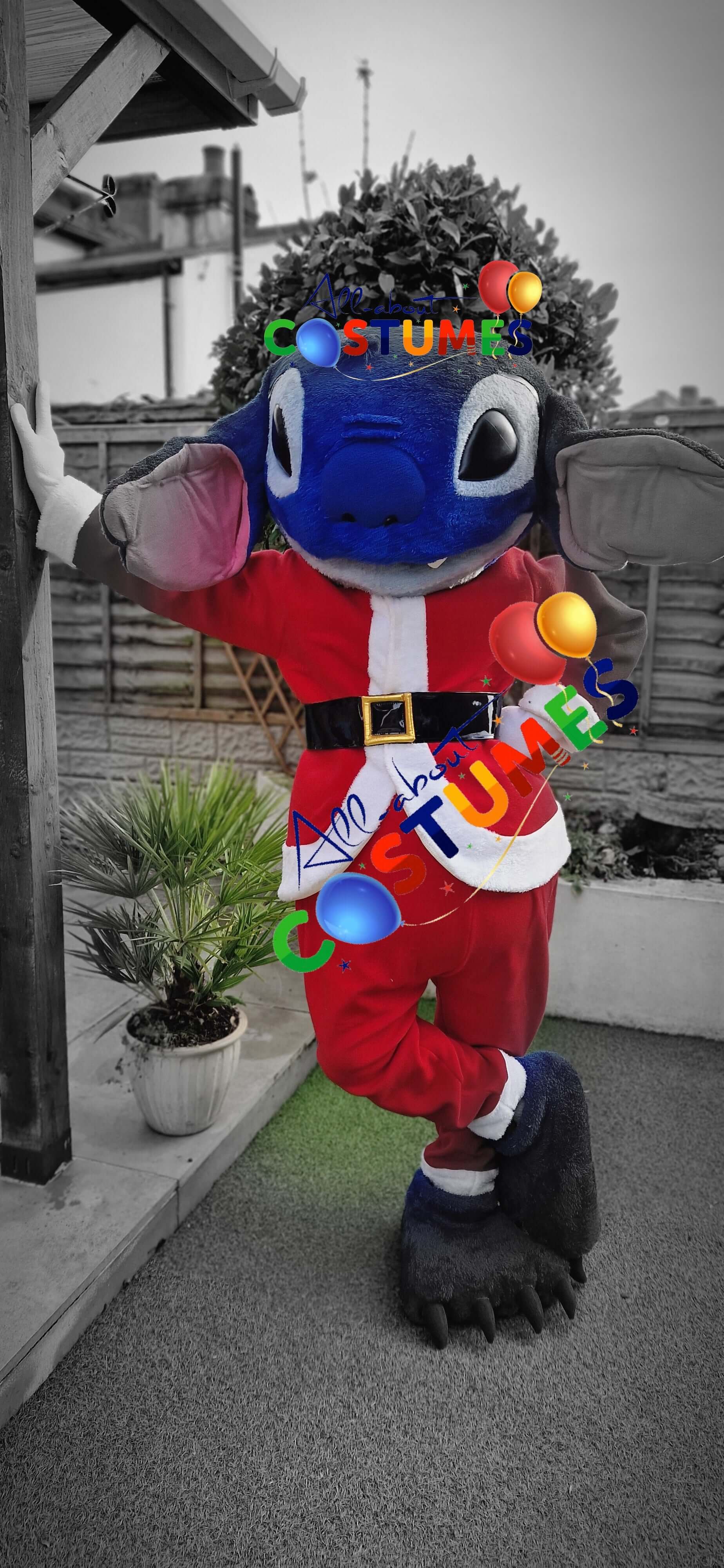 Z Elf en el estante Navidad