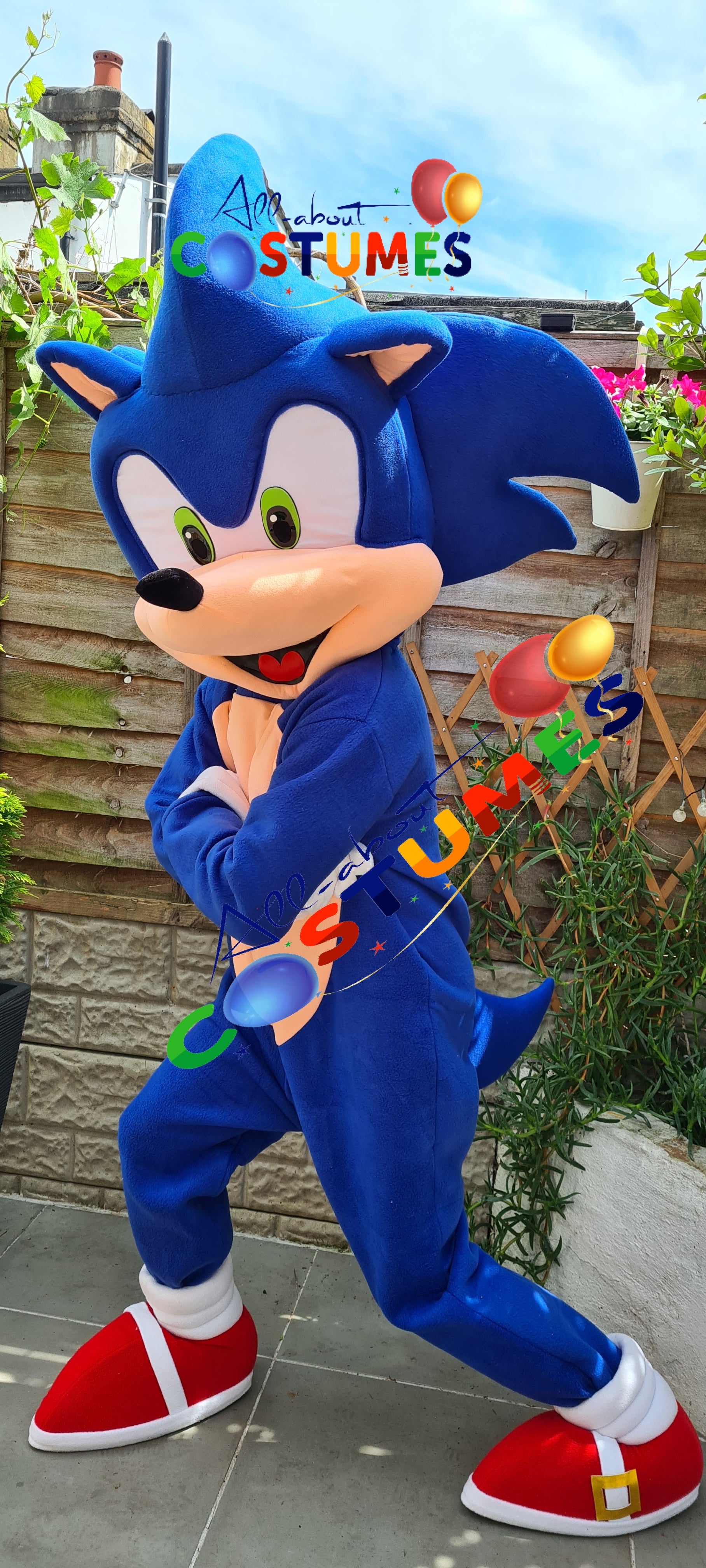 Sonic el erizo