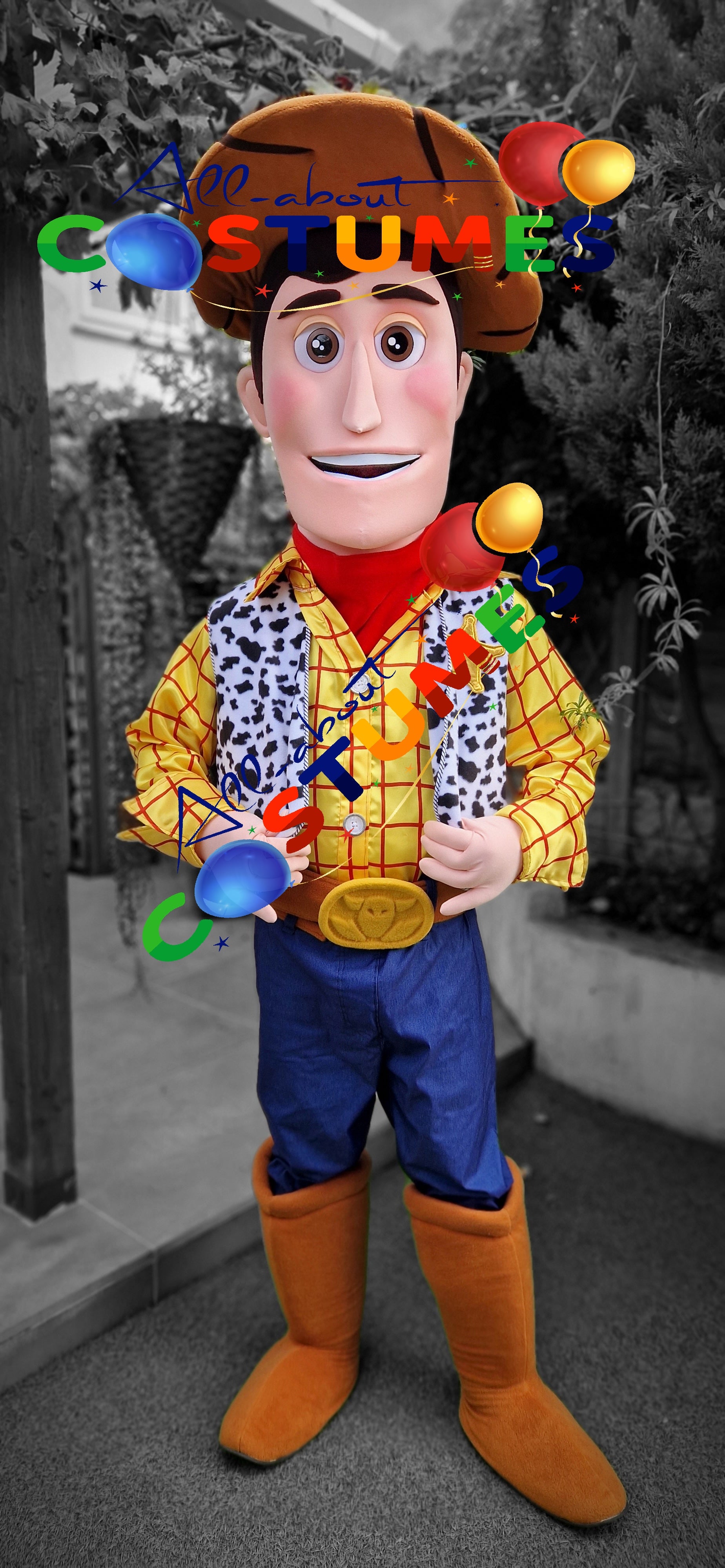 Toy Story Woody