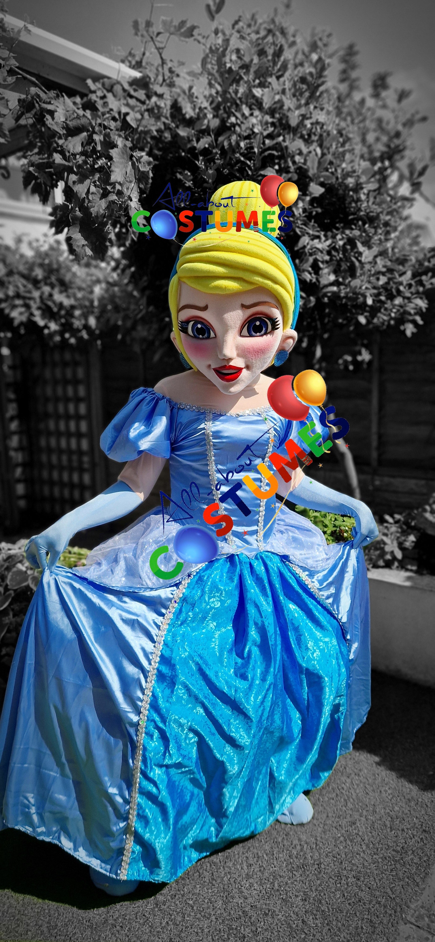 Patrulla Canina Ryder