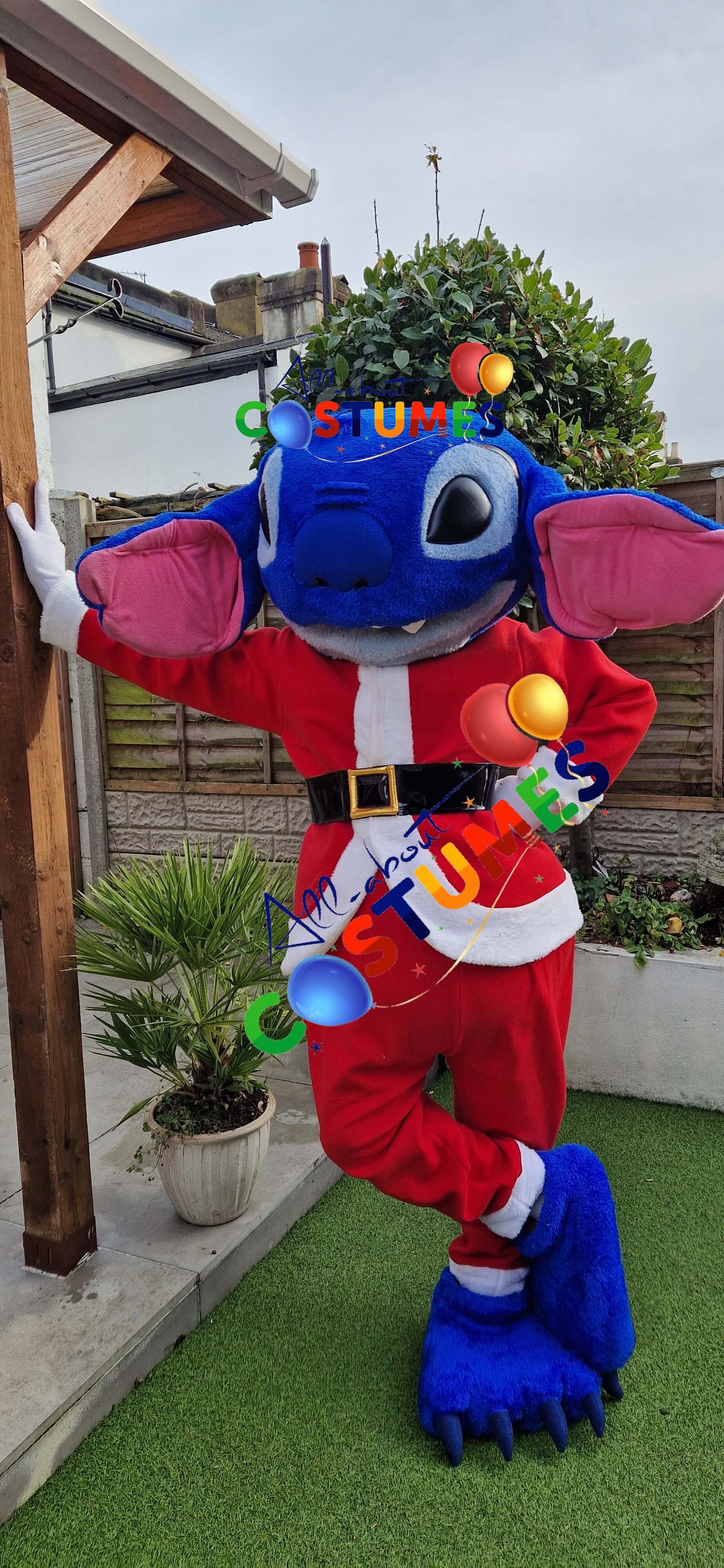 Z Elf en el estante Navidad