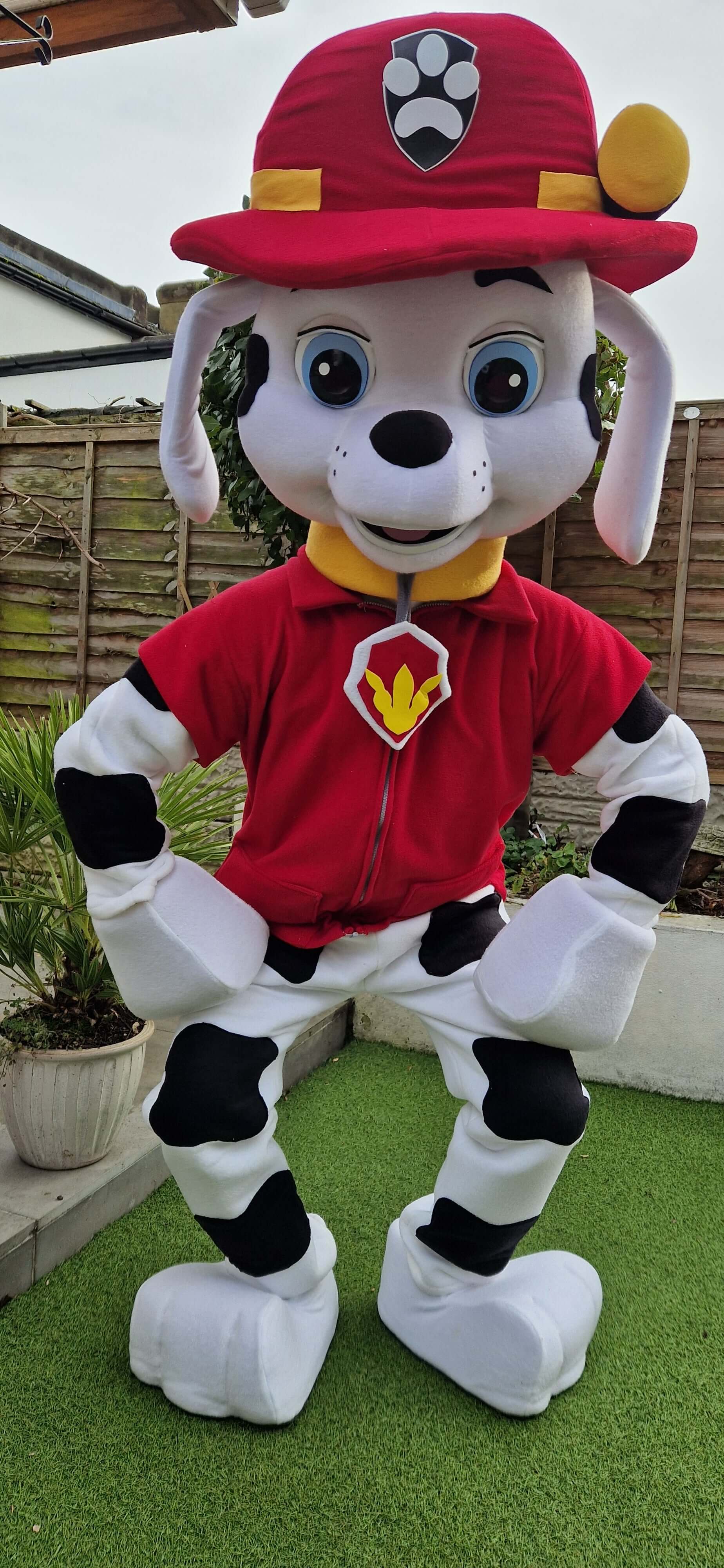 Paw Patrol Marshall with Pink Paws B