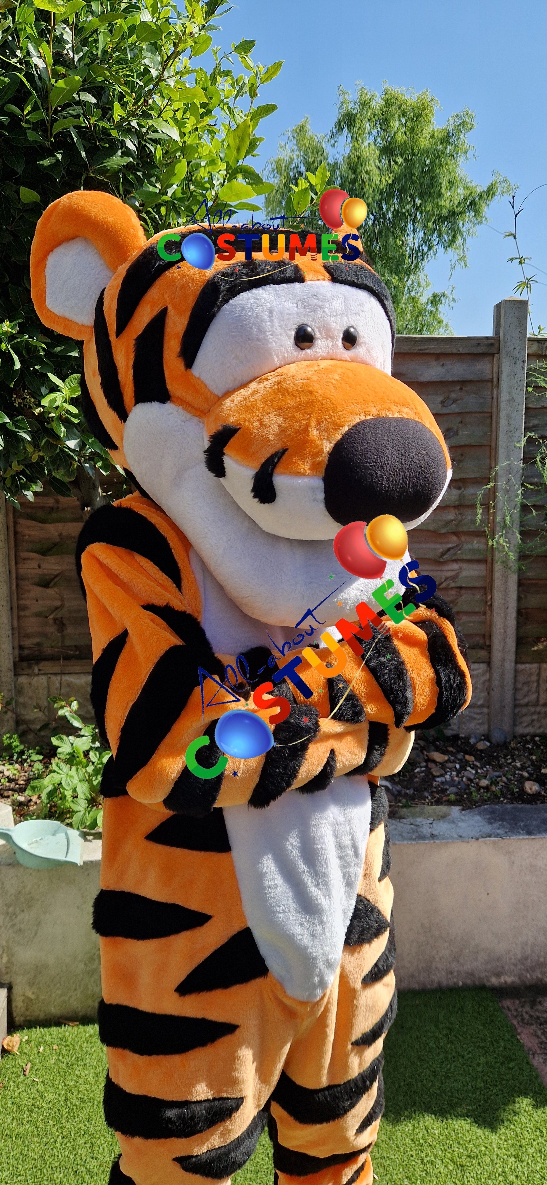 Tigger Winnie the Pooh Bear