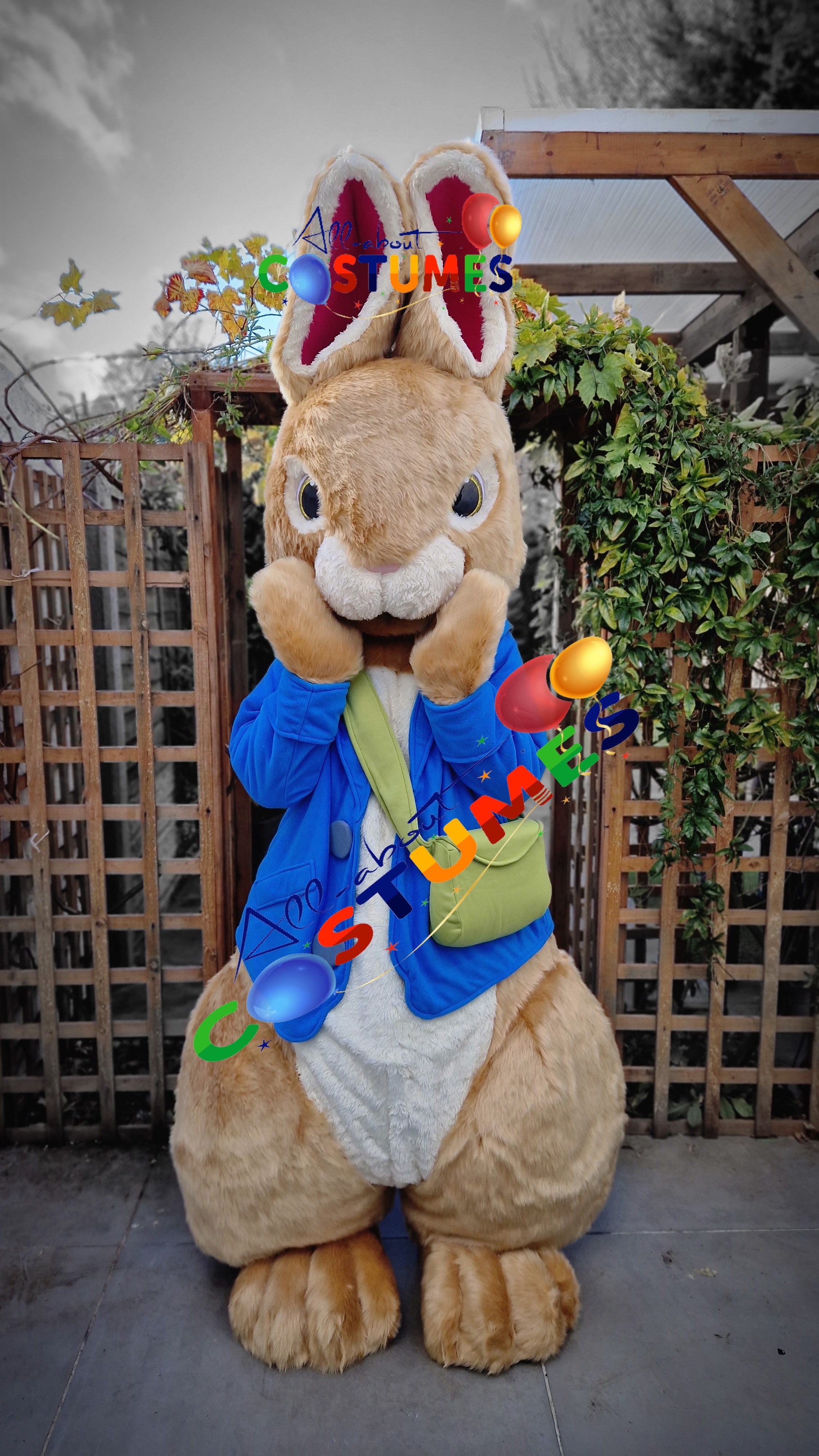 Peter Rabbit