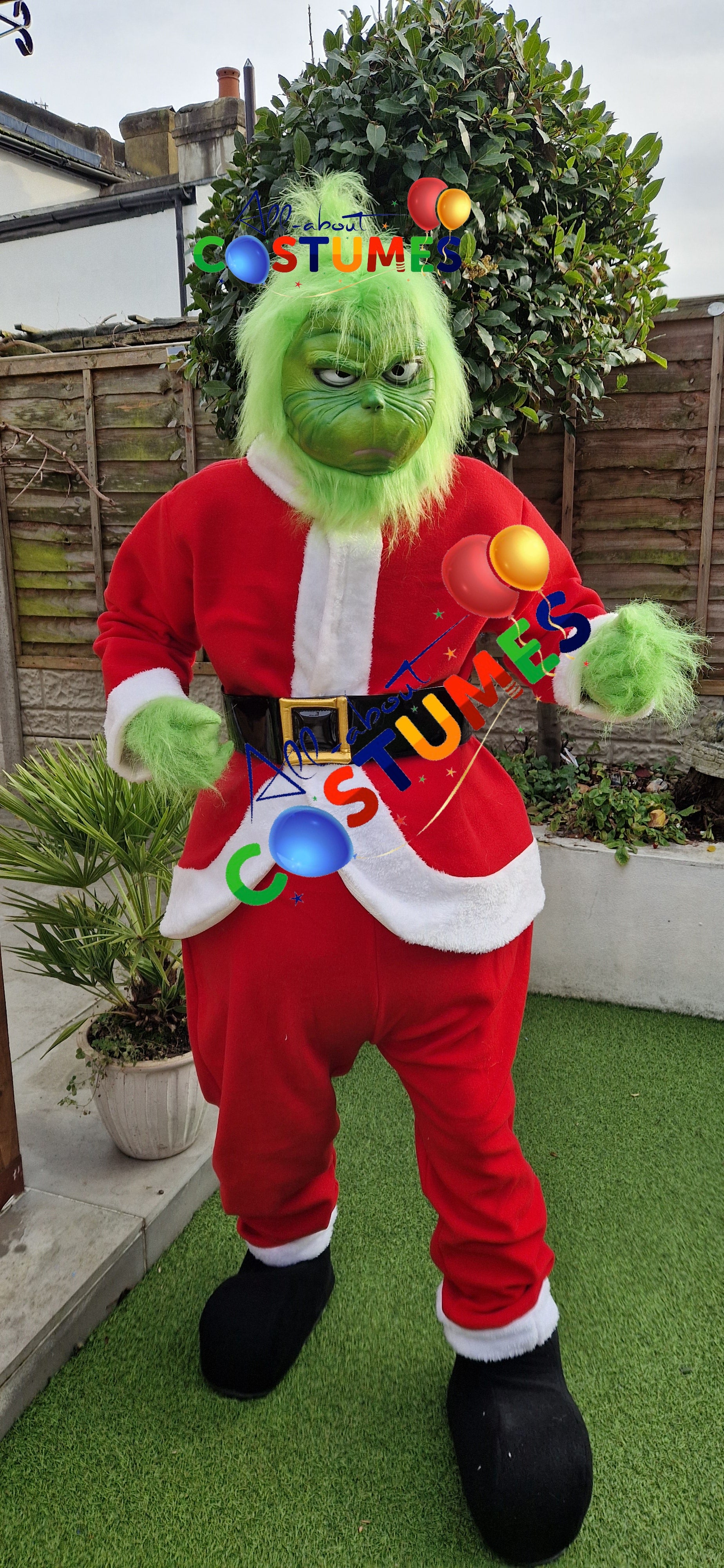 Z Elf en el estante Navidad