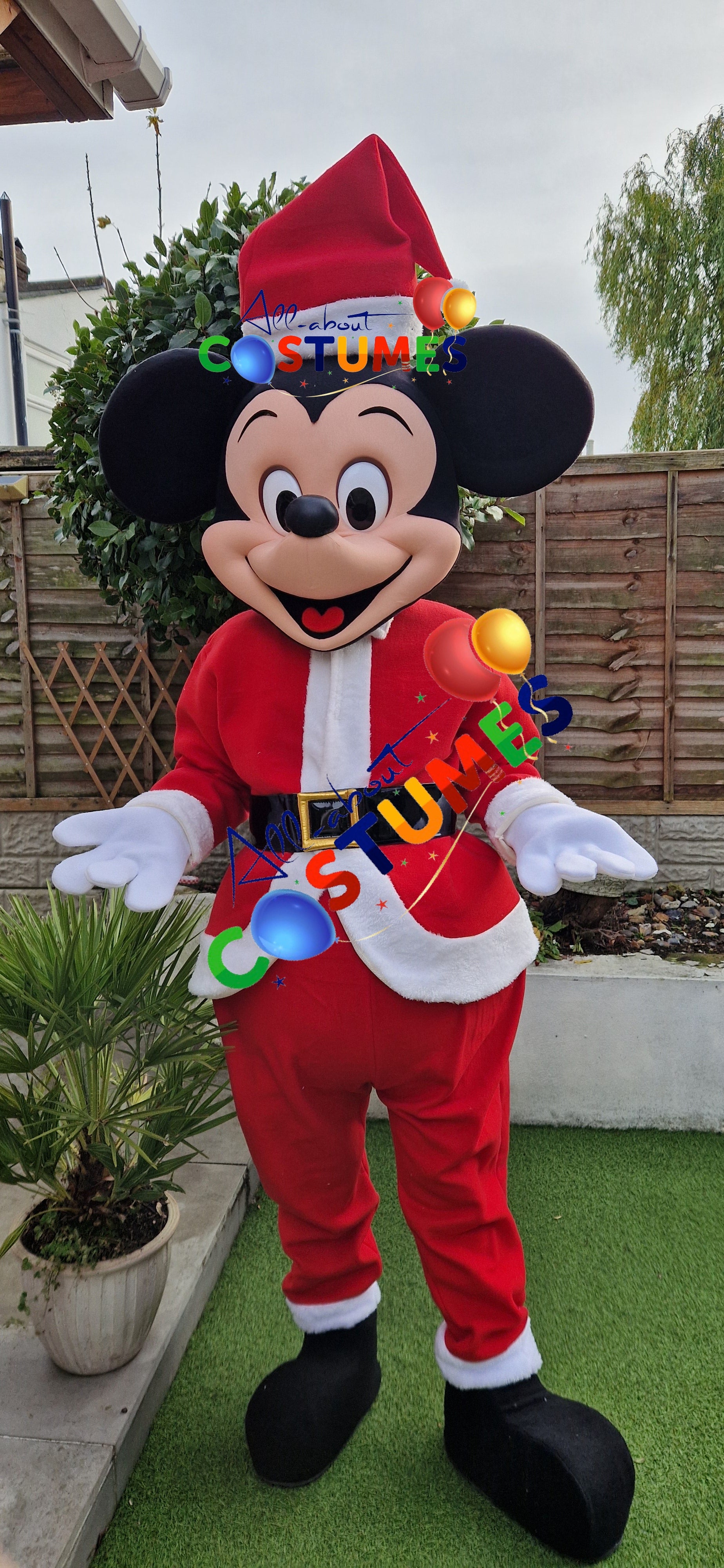 Z Elf en el estante Navidad