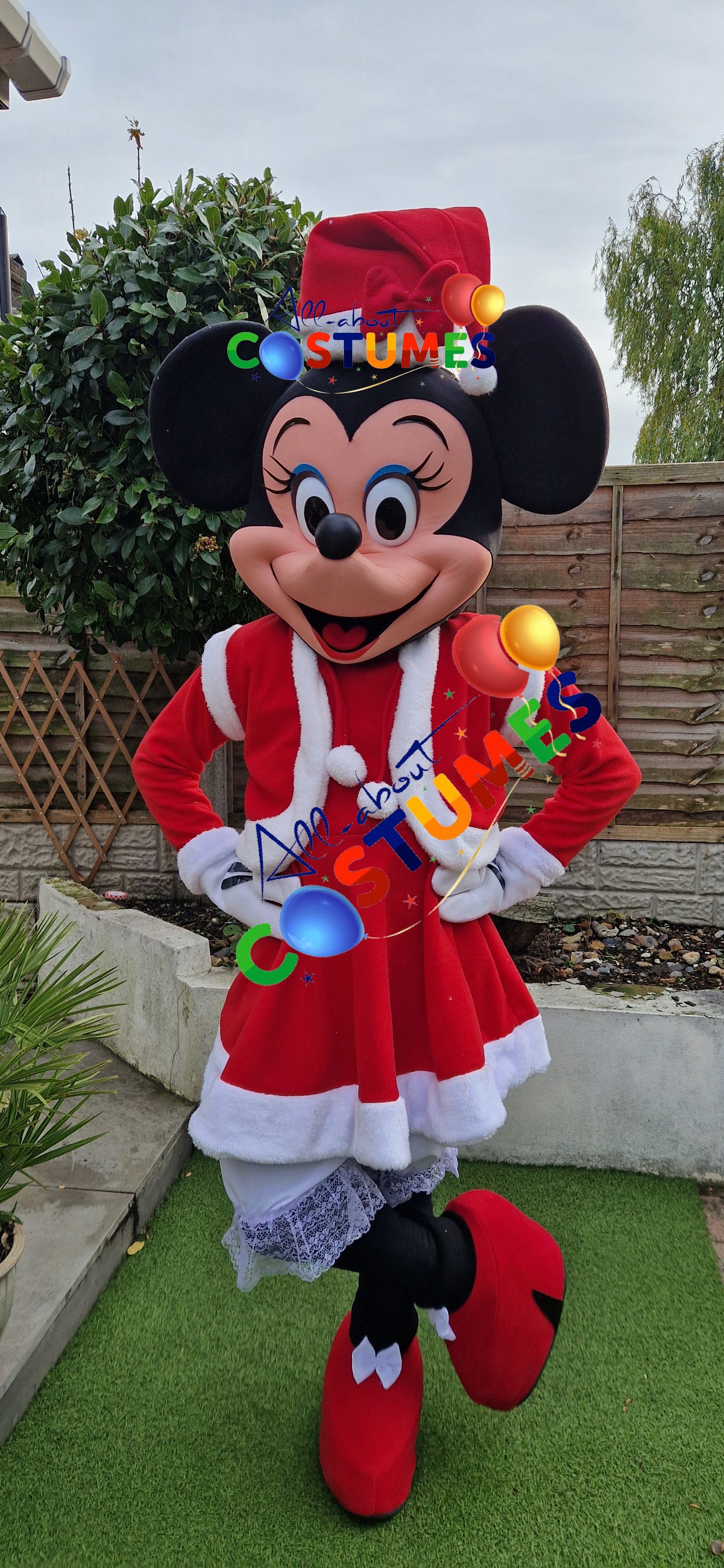 Z Elf en el estante Navidad