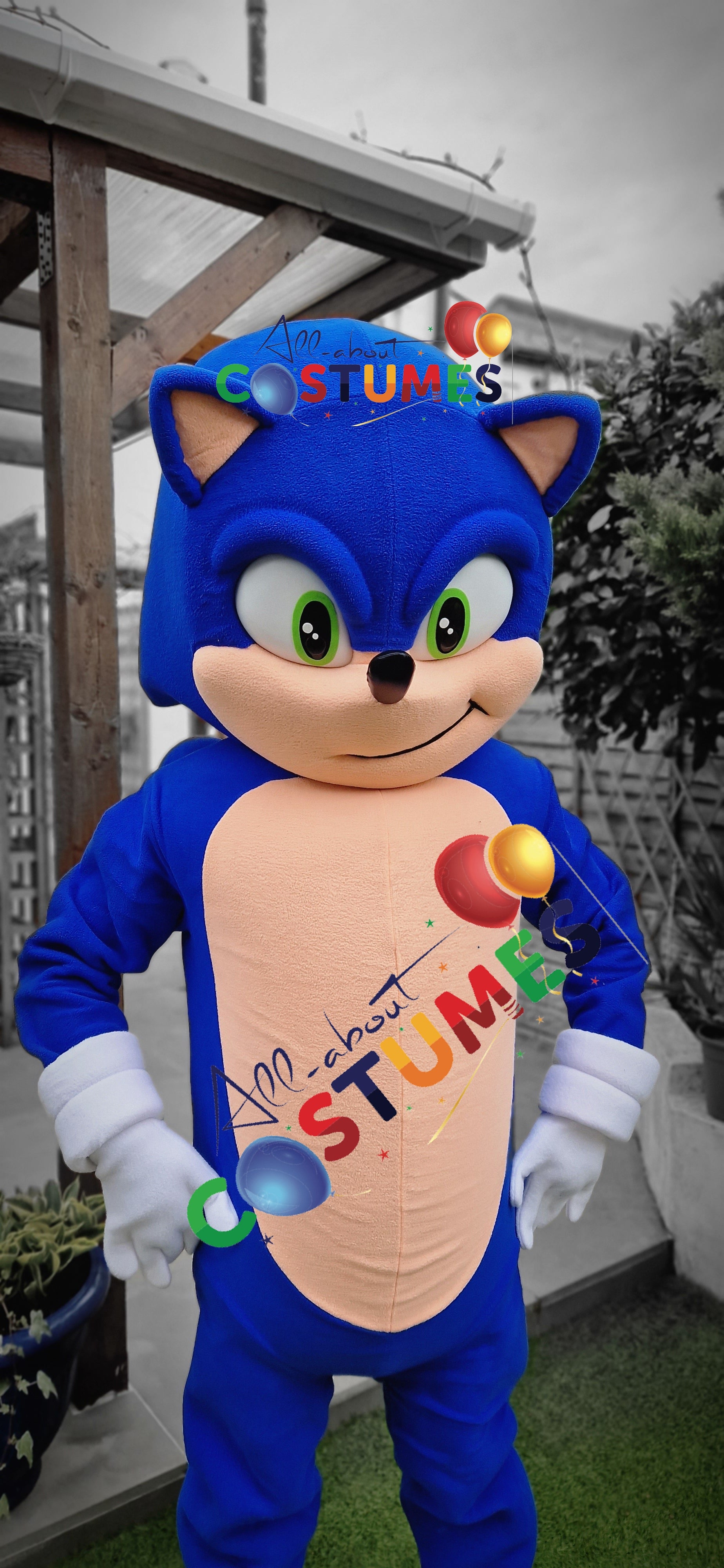 Sonic rápido de lujo