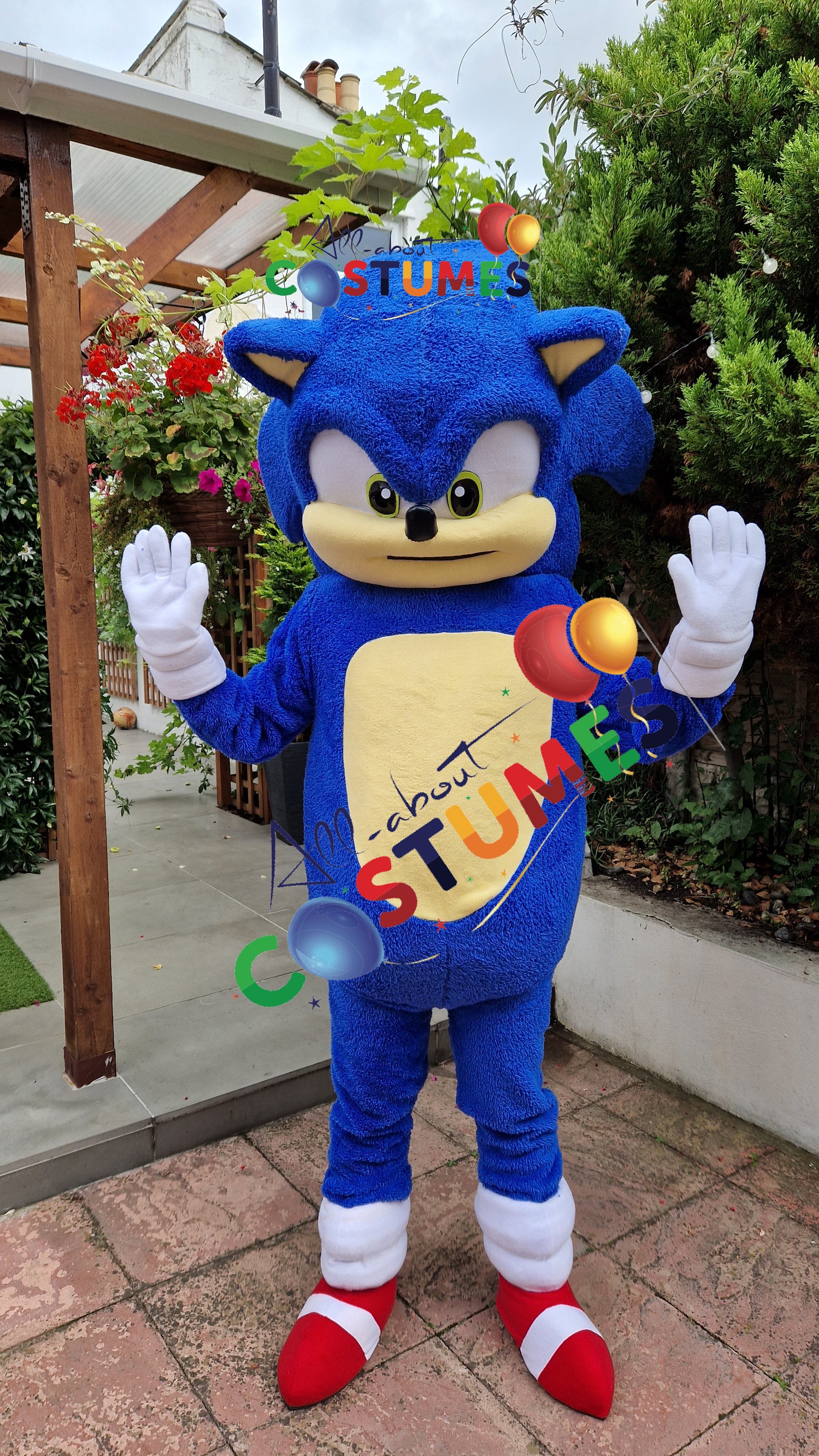 Sonic el erizo Edición limitada