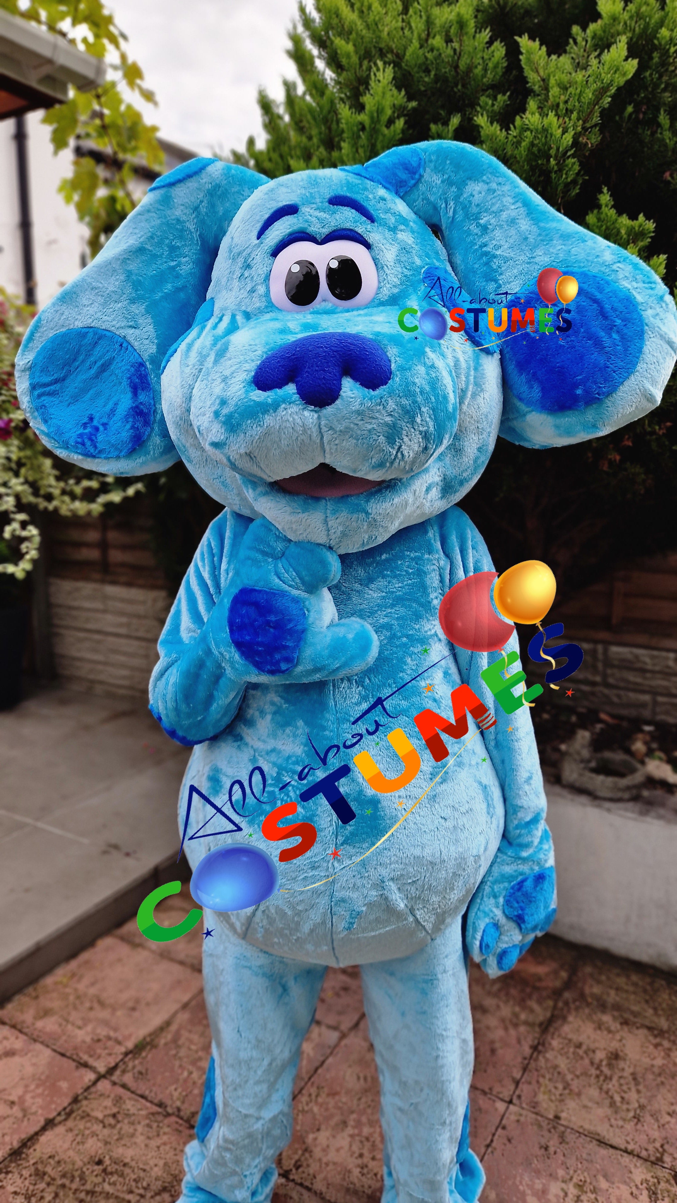 Blue's Clues and You