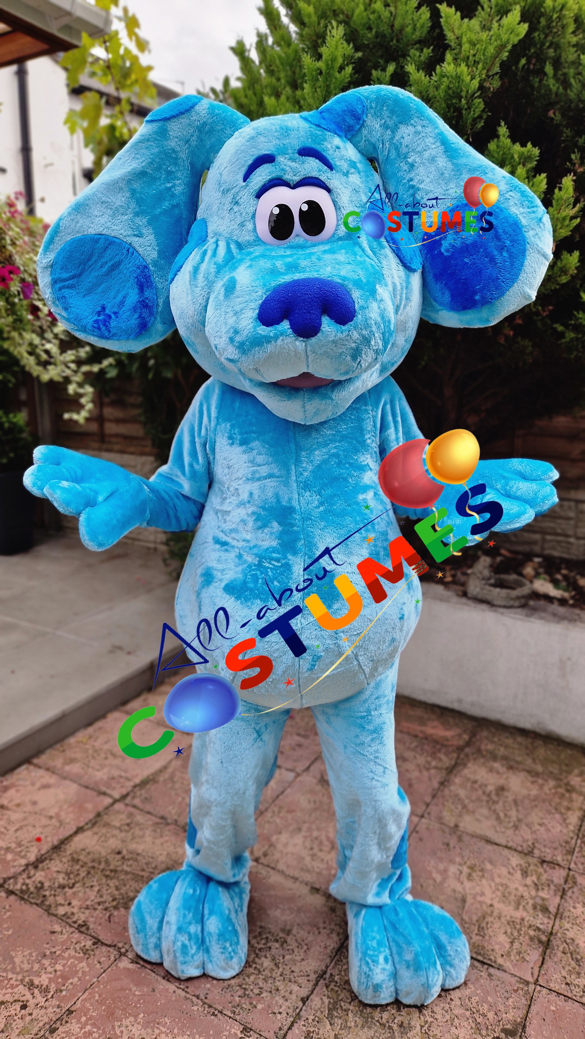 Blue's Clues and You