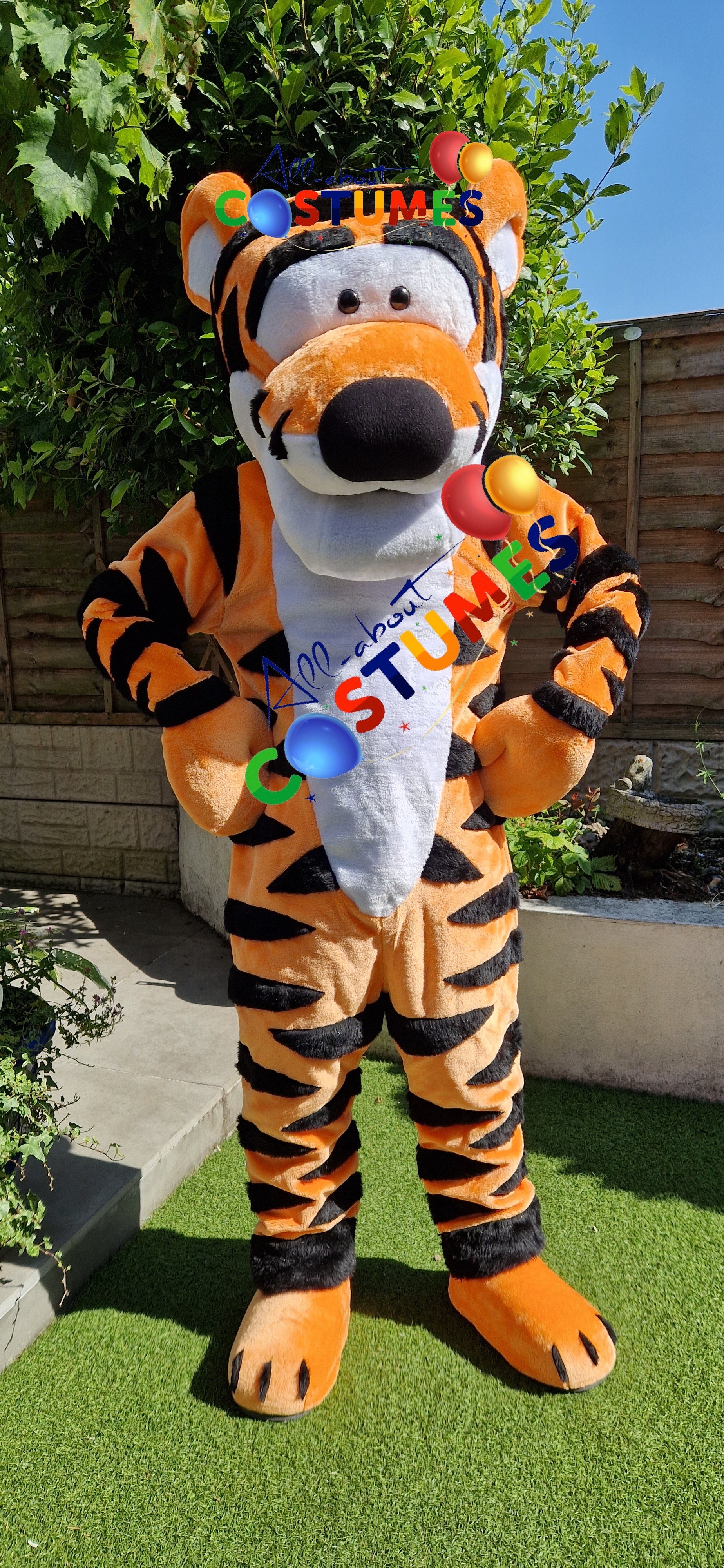 Tigger Winnie the Pooh Bear