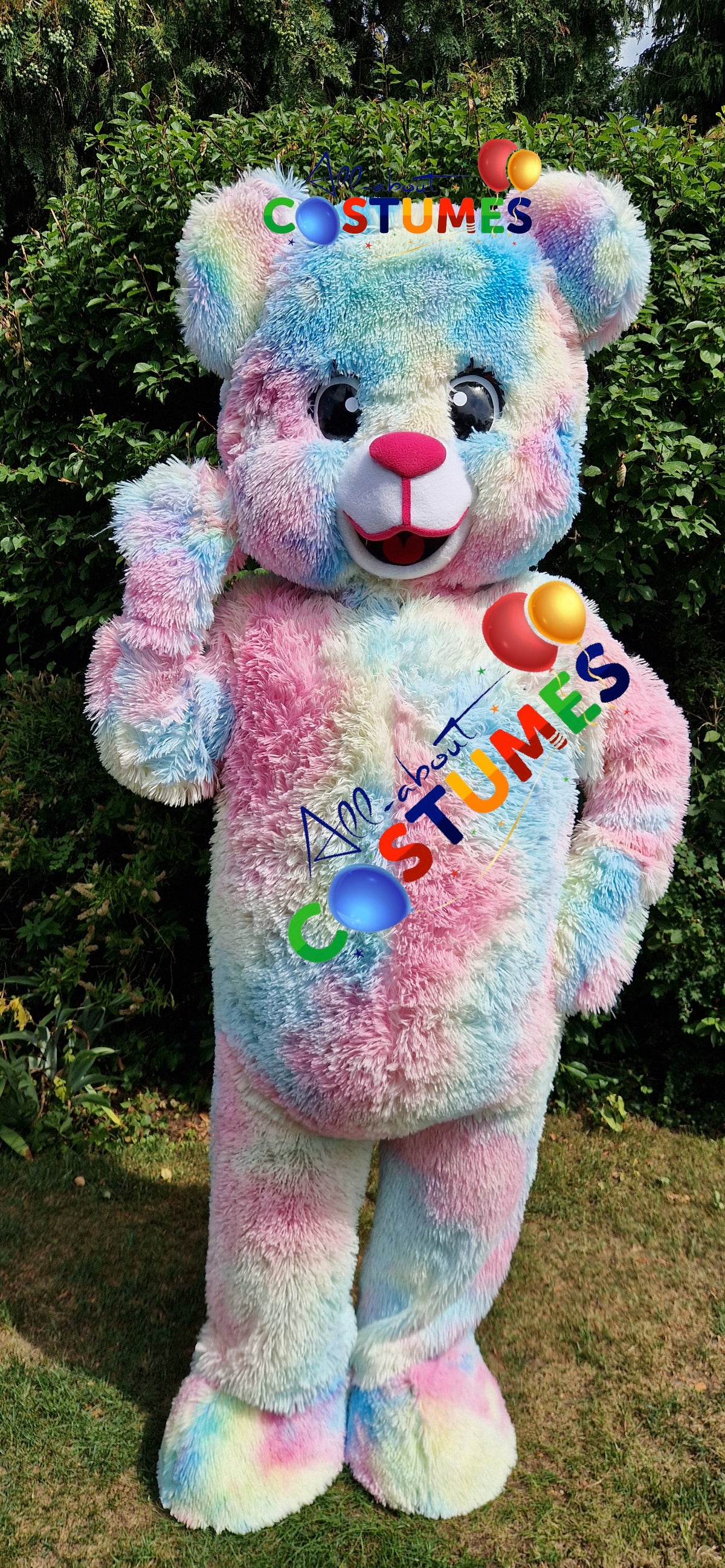 Teddy Bear Multi