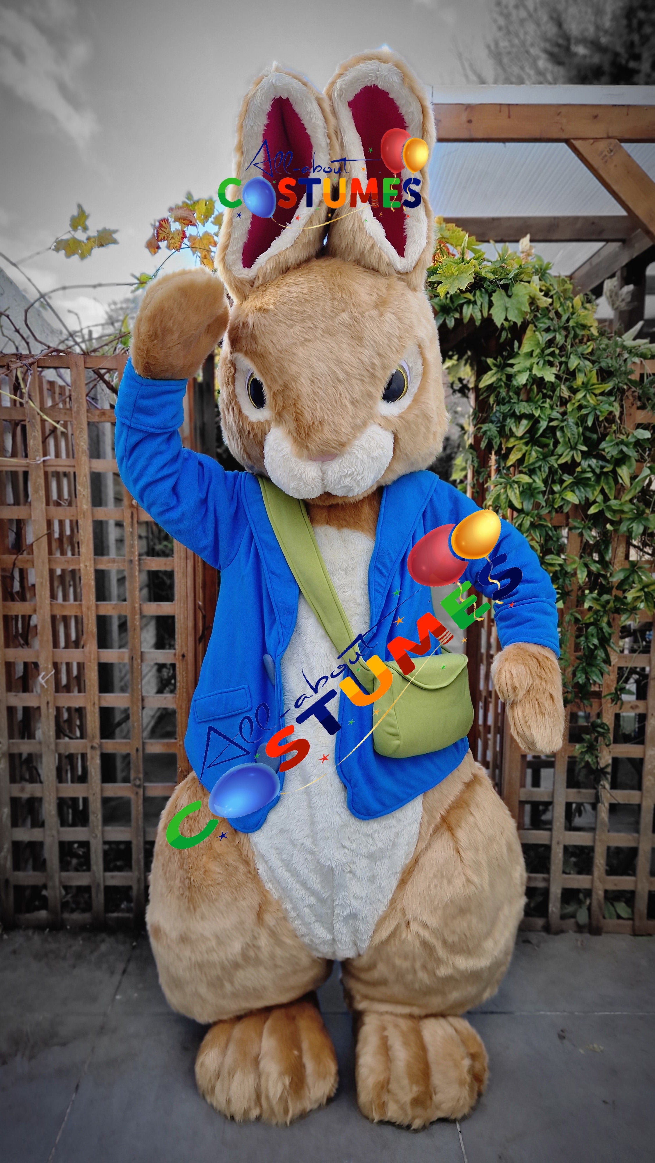 Peter Rabbit